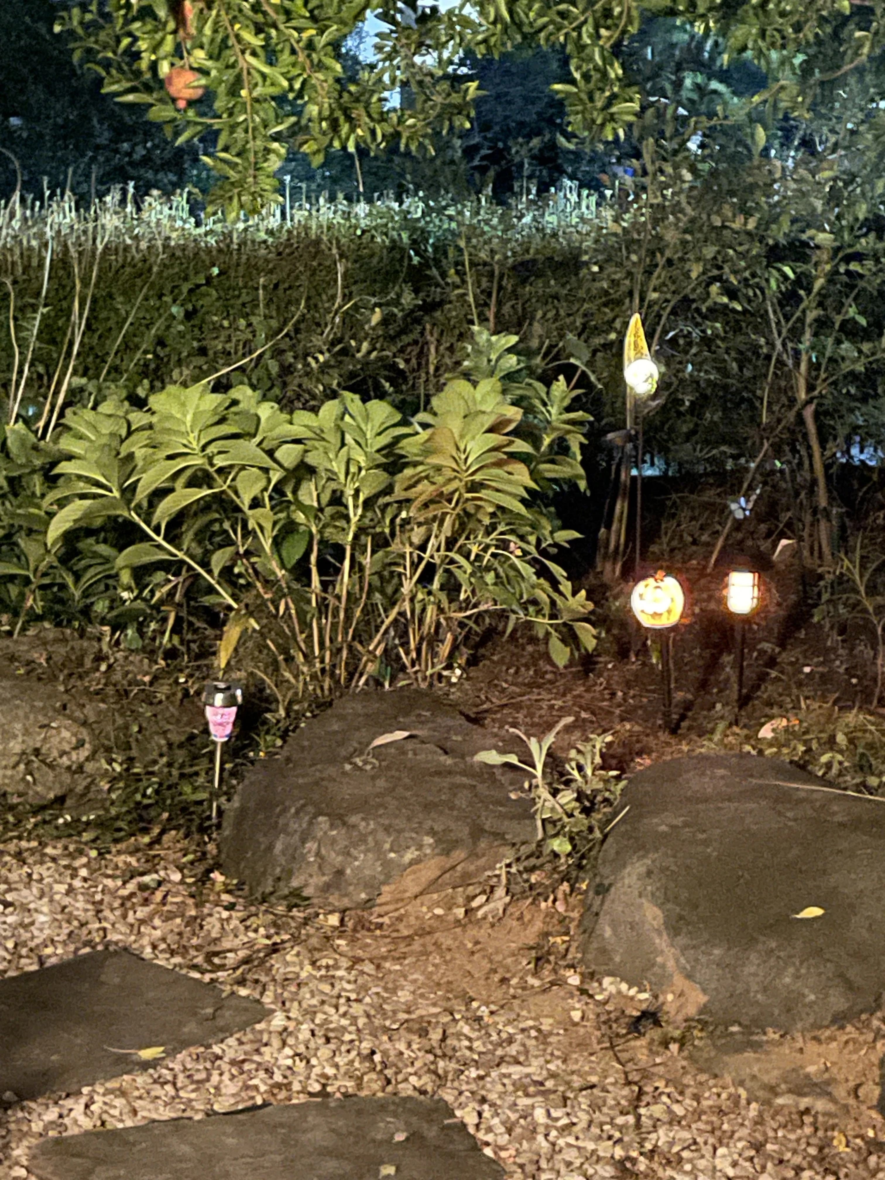 鳶尾ピアノ教室 鳶尾教室 画像 41