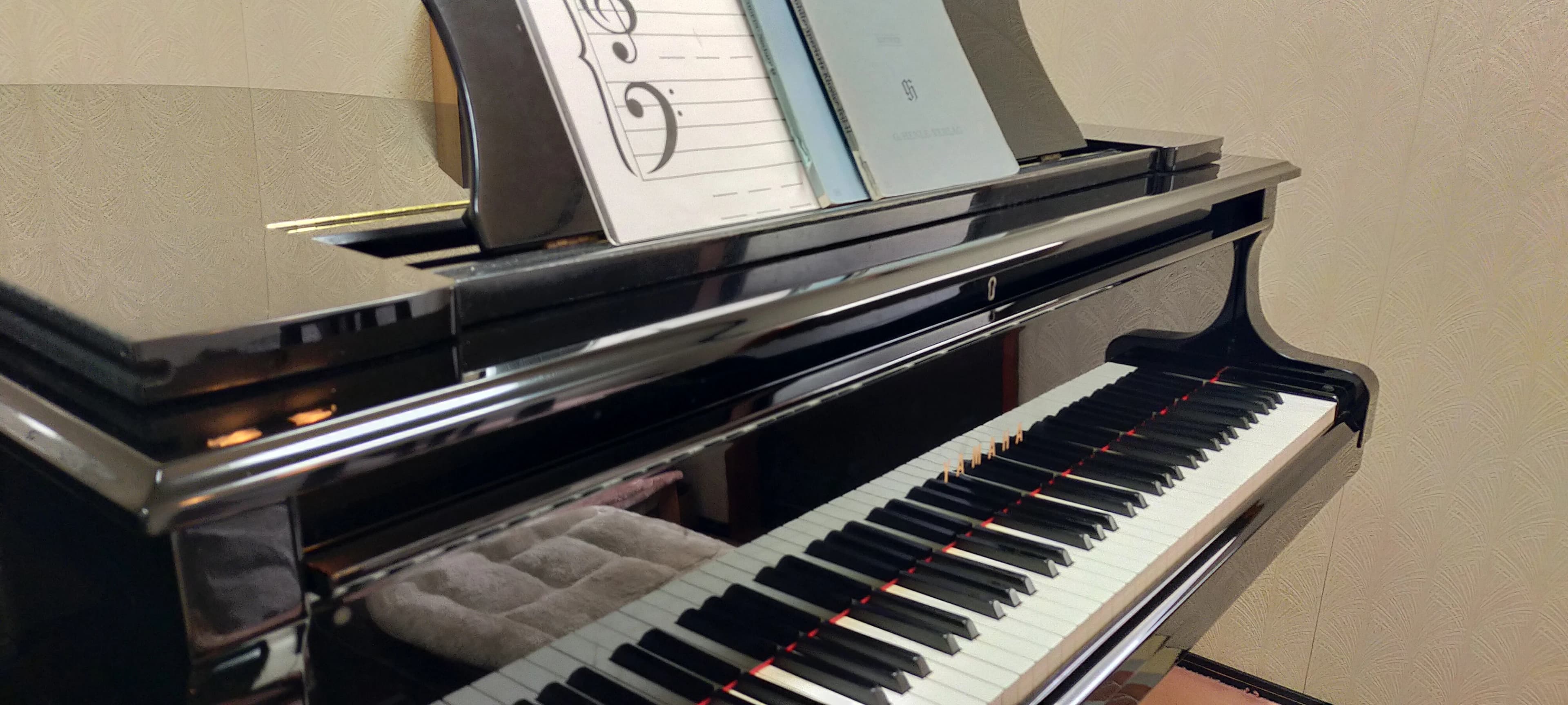 長谷川ピアノ教室 鵠沼神明教室のメイン画像