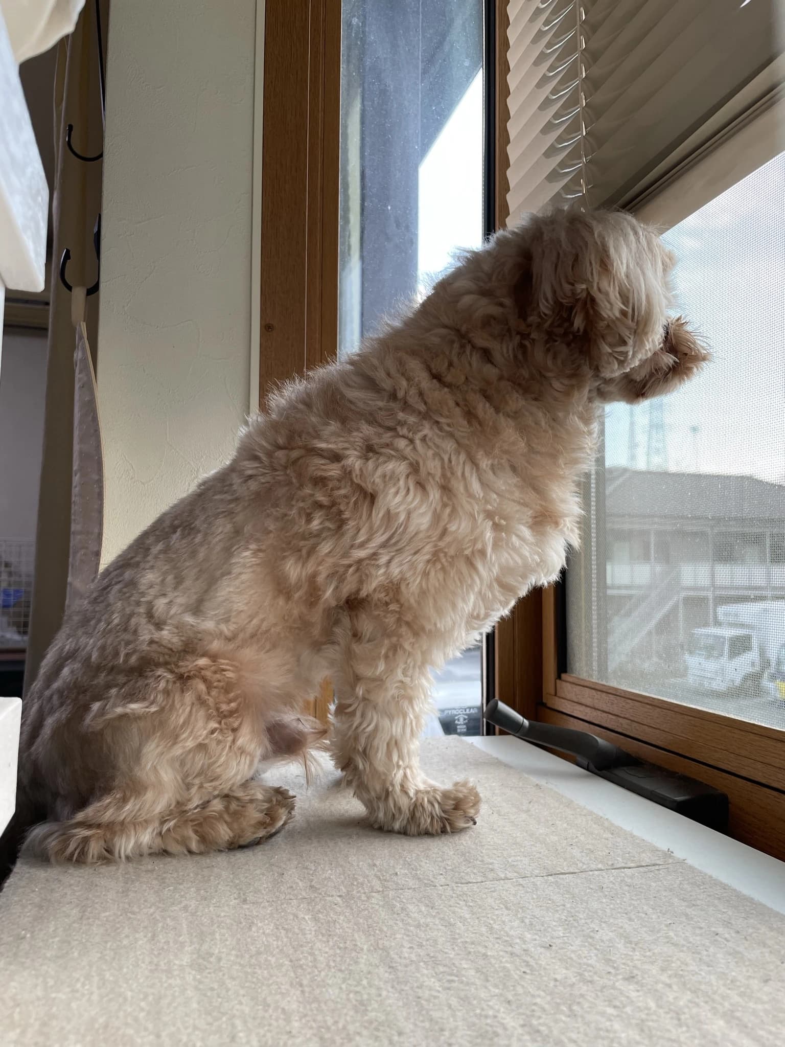 なりしま音楽教室 ピアノ 上末吉教室のメイン画像