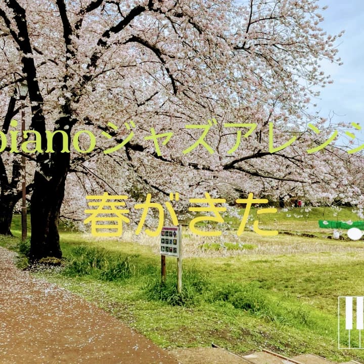 まつだピアノ教室 見沼区教室 画像 18