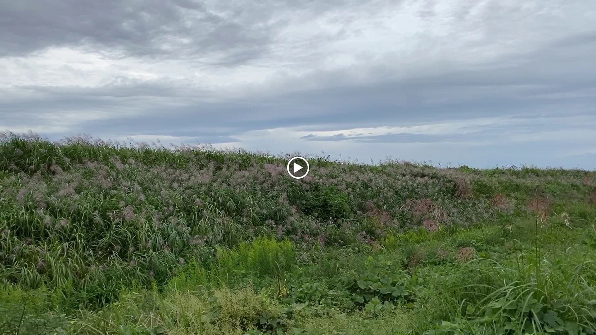 ヒロコ英語ピアノ教室 南浦和教室 画像 24