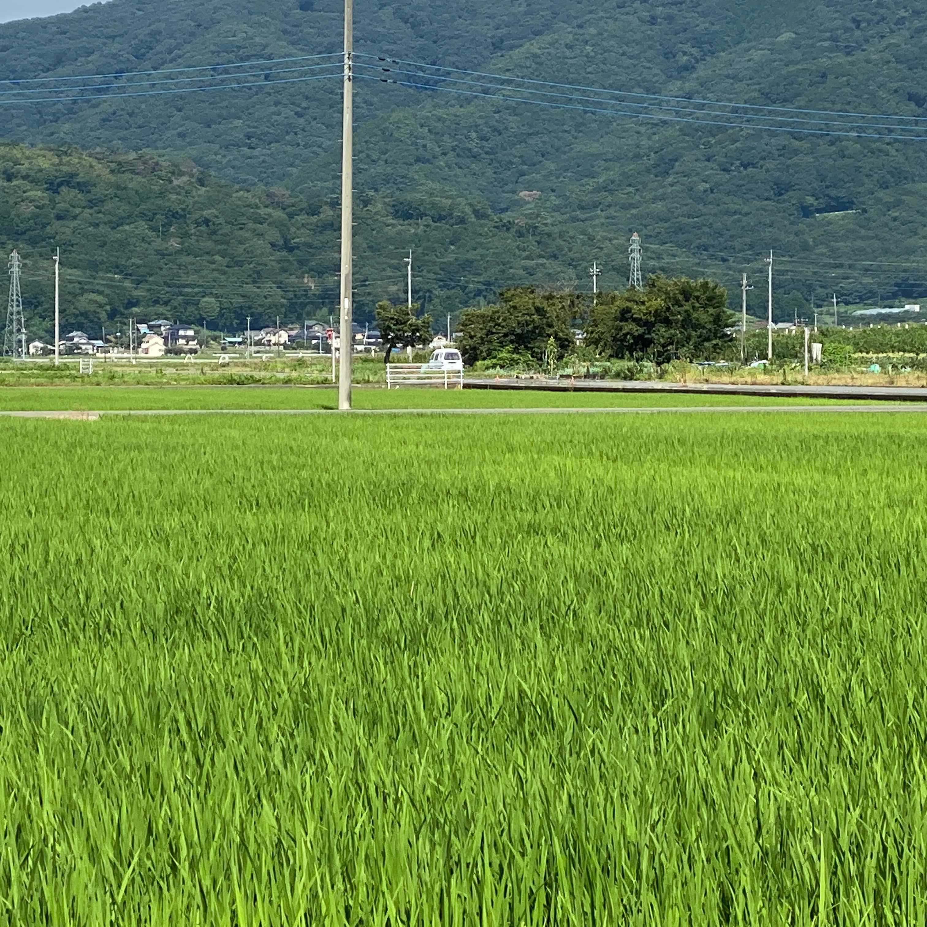 ヒロコ英語ピアノ教室 南浦和教室 画像 36