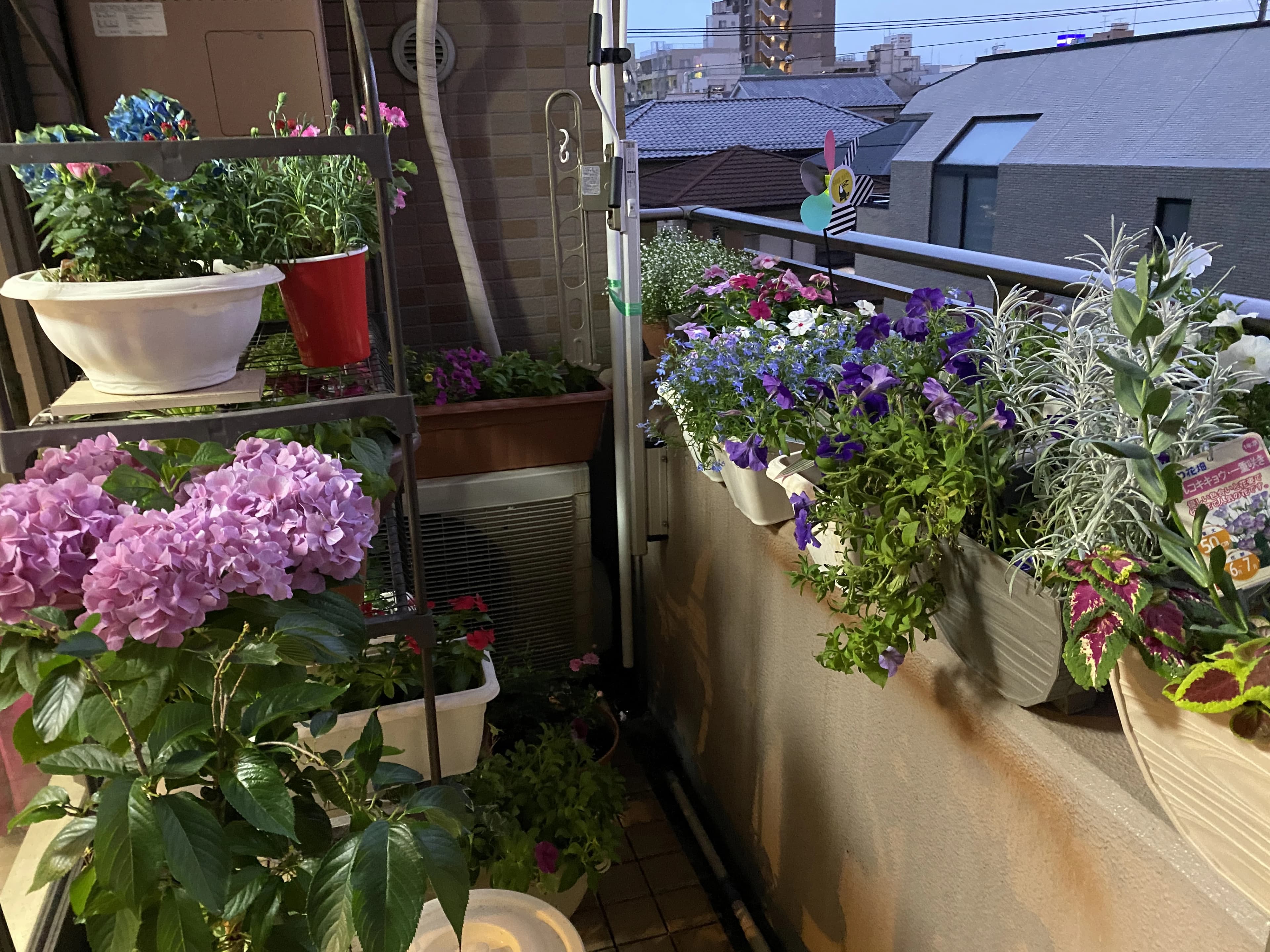 ヒロコ英語ピアノ教室 南浦和教室 画像 43