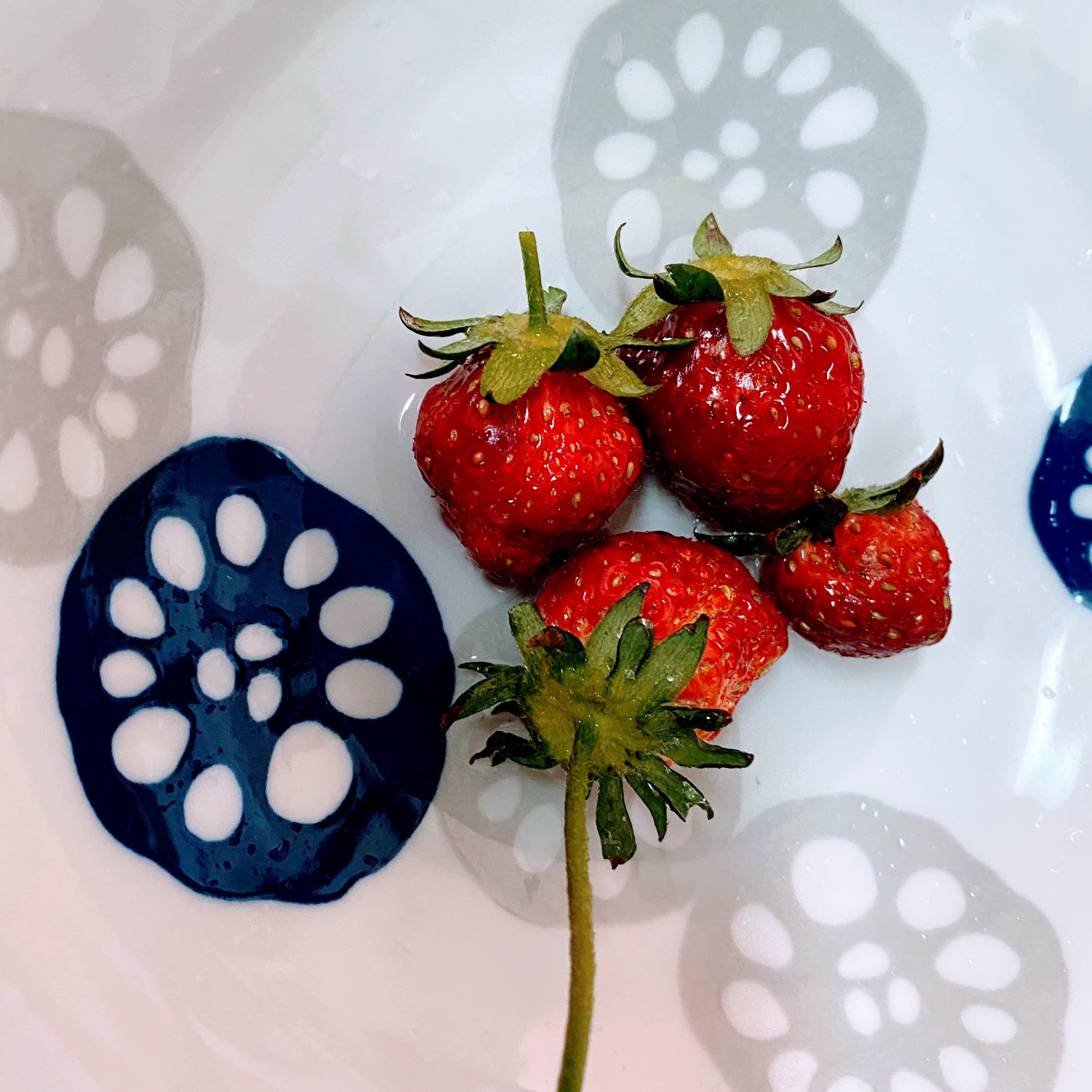 ヒロコ英語ピアノ教室 南浦和教室 画像 46