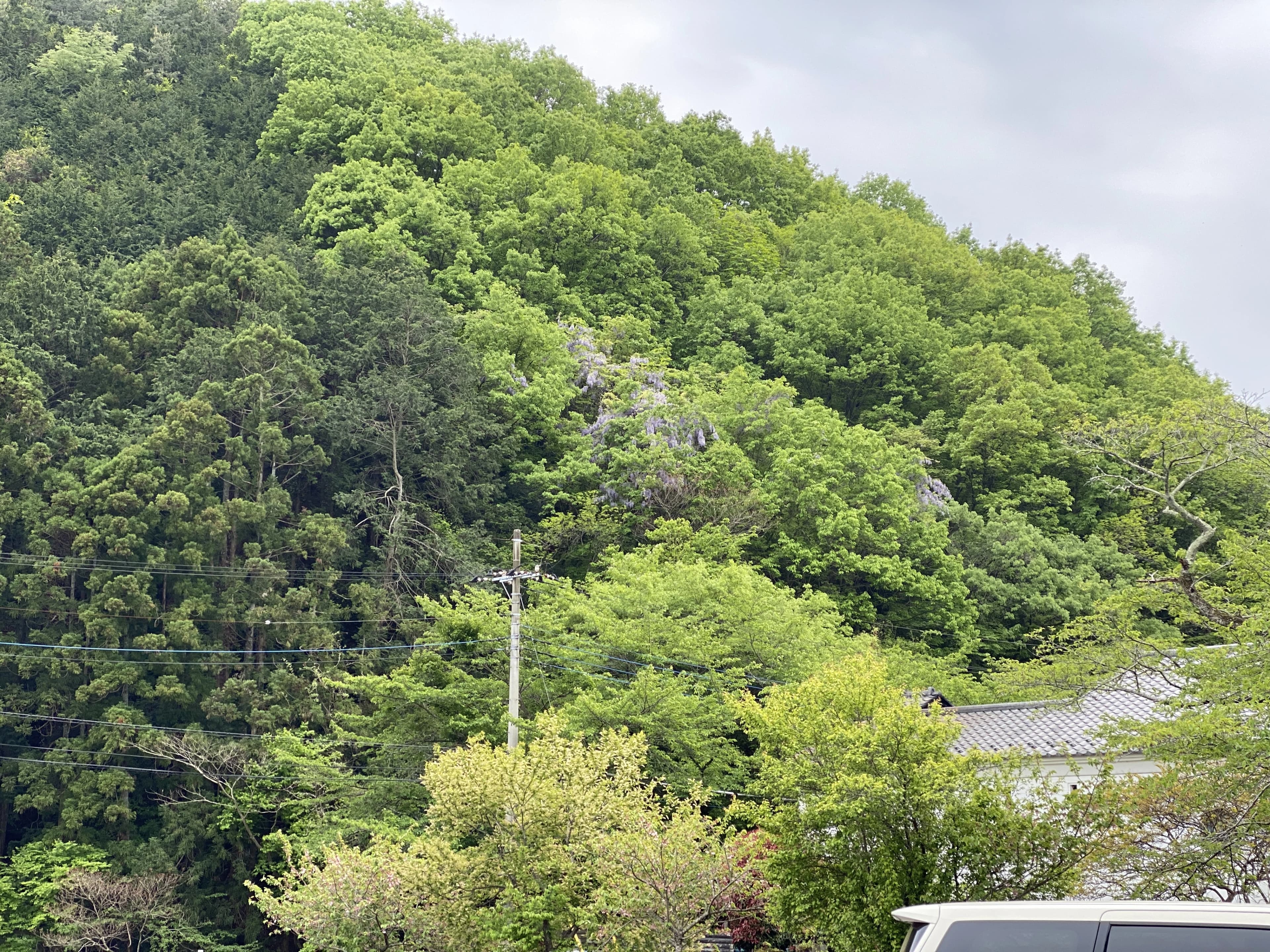 ヒロコ英語ピアノ教室 南浦和教室 画像 47