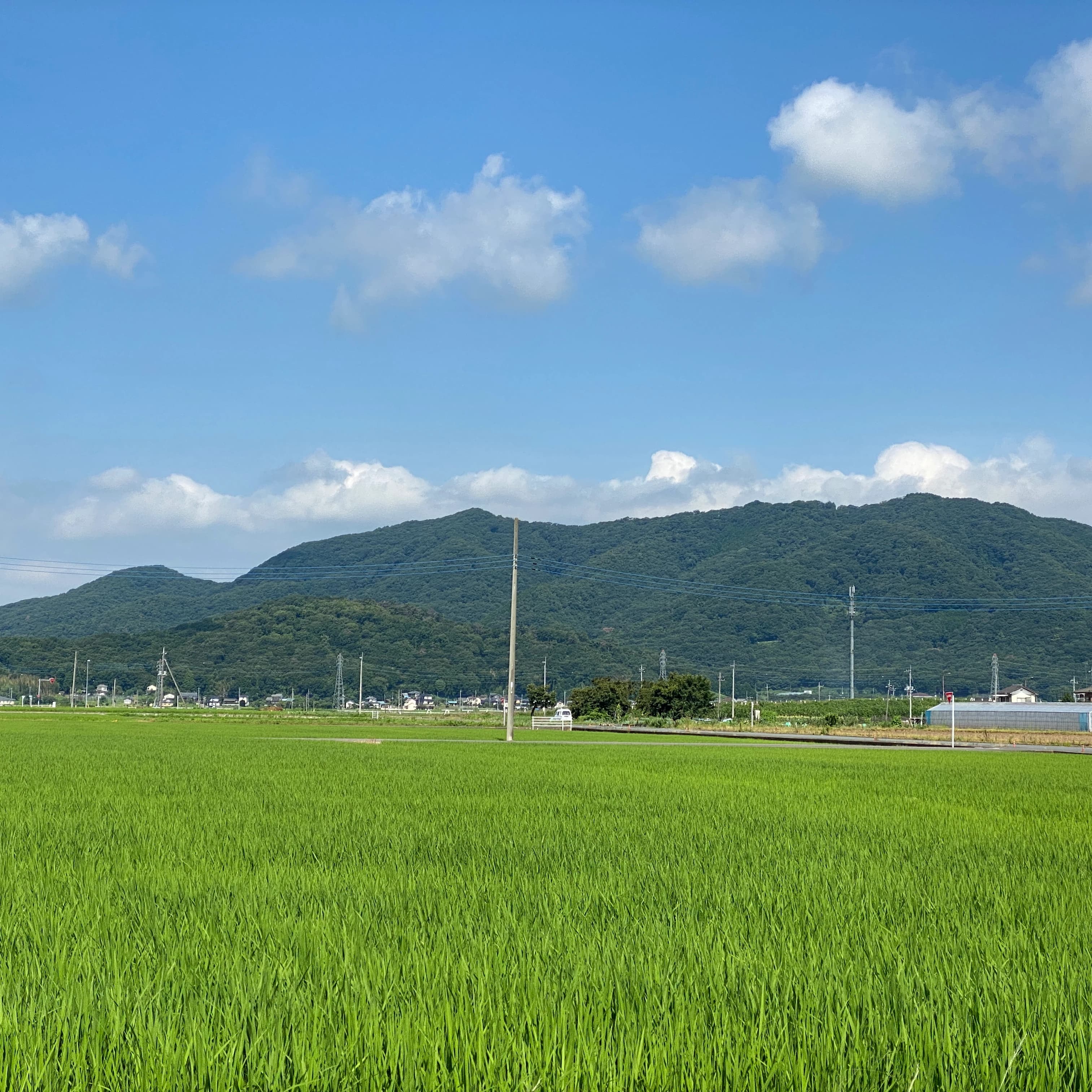 ヒロコ英語ピアノ教室 南浦和教室 画像 51