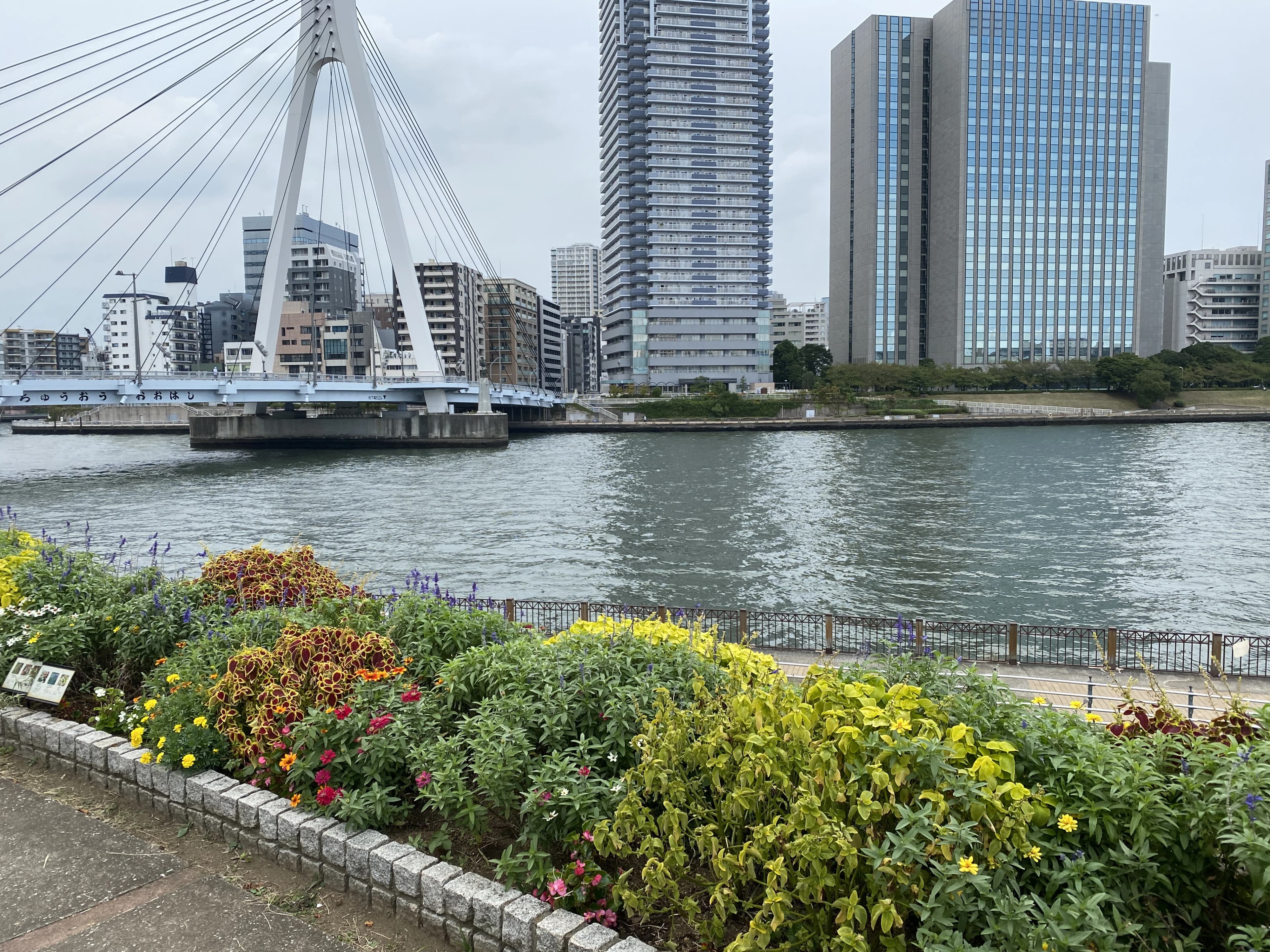 ヒロコ英語ピアノ教室 南浦和教室 画像 61