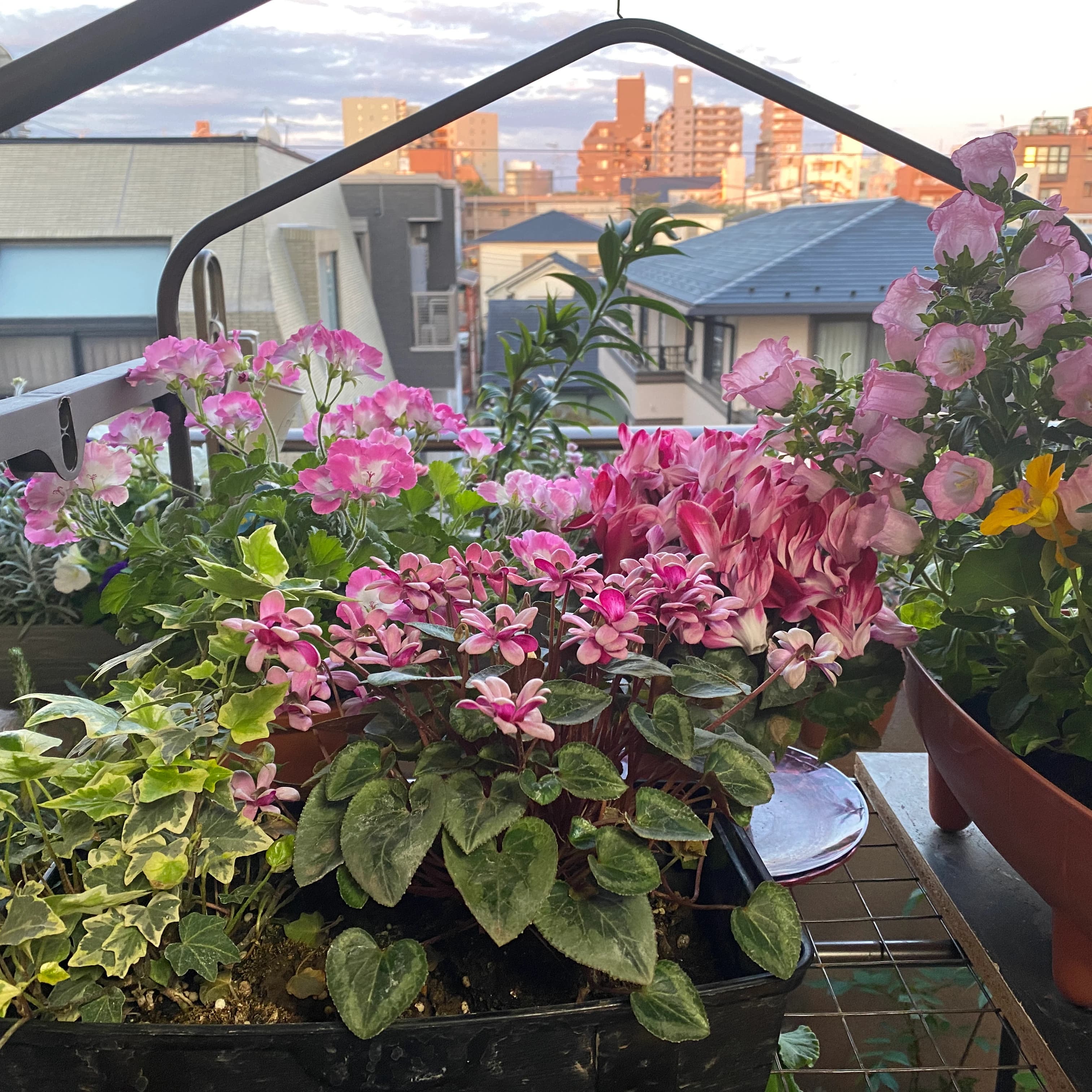 ヒロコ英語ピアノ教室 南浦和教室 画像 62