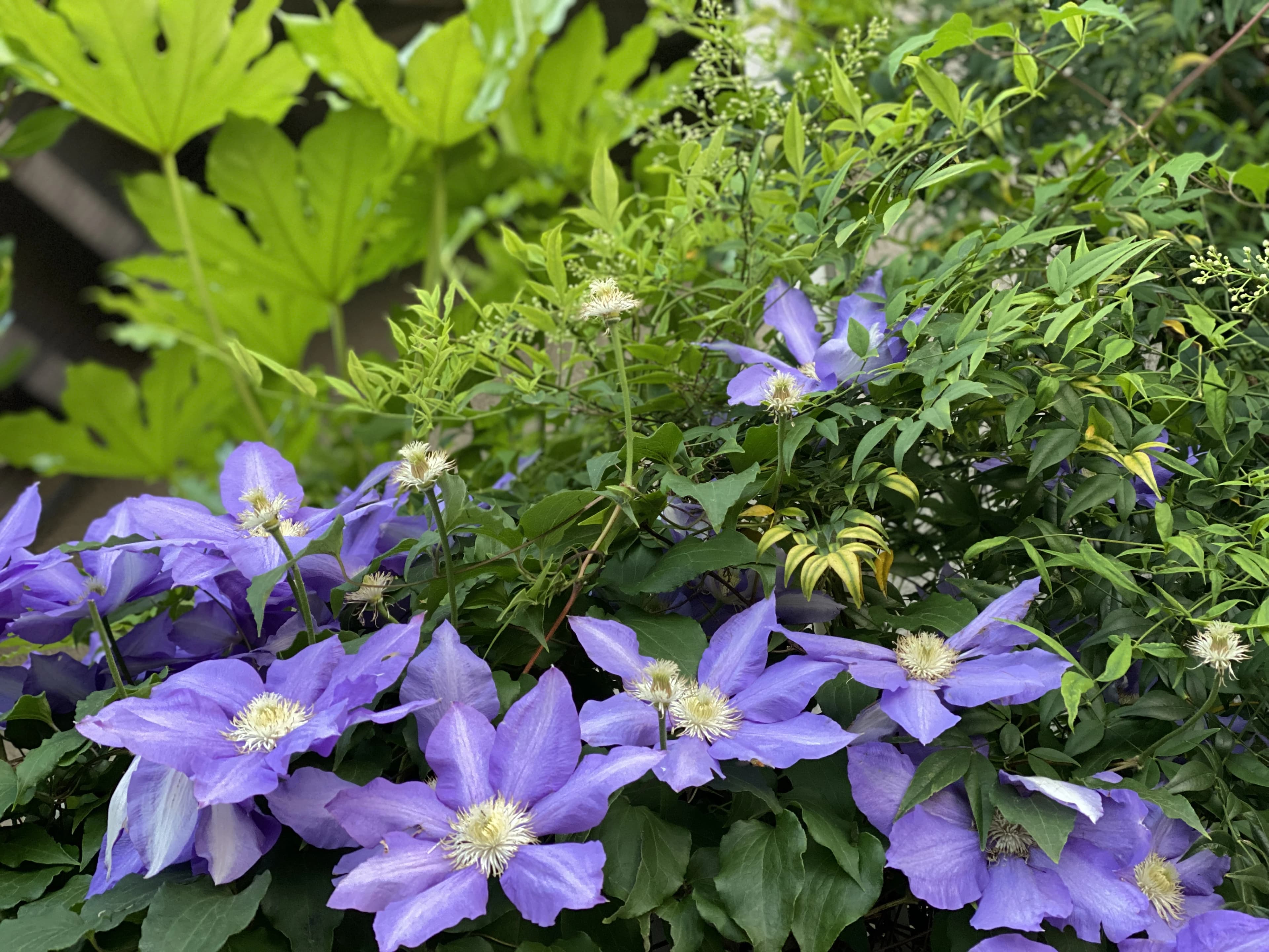 ヒロコ英語ピアノ教室 南浦和教室 画像 63