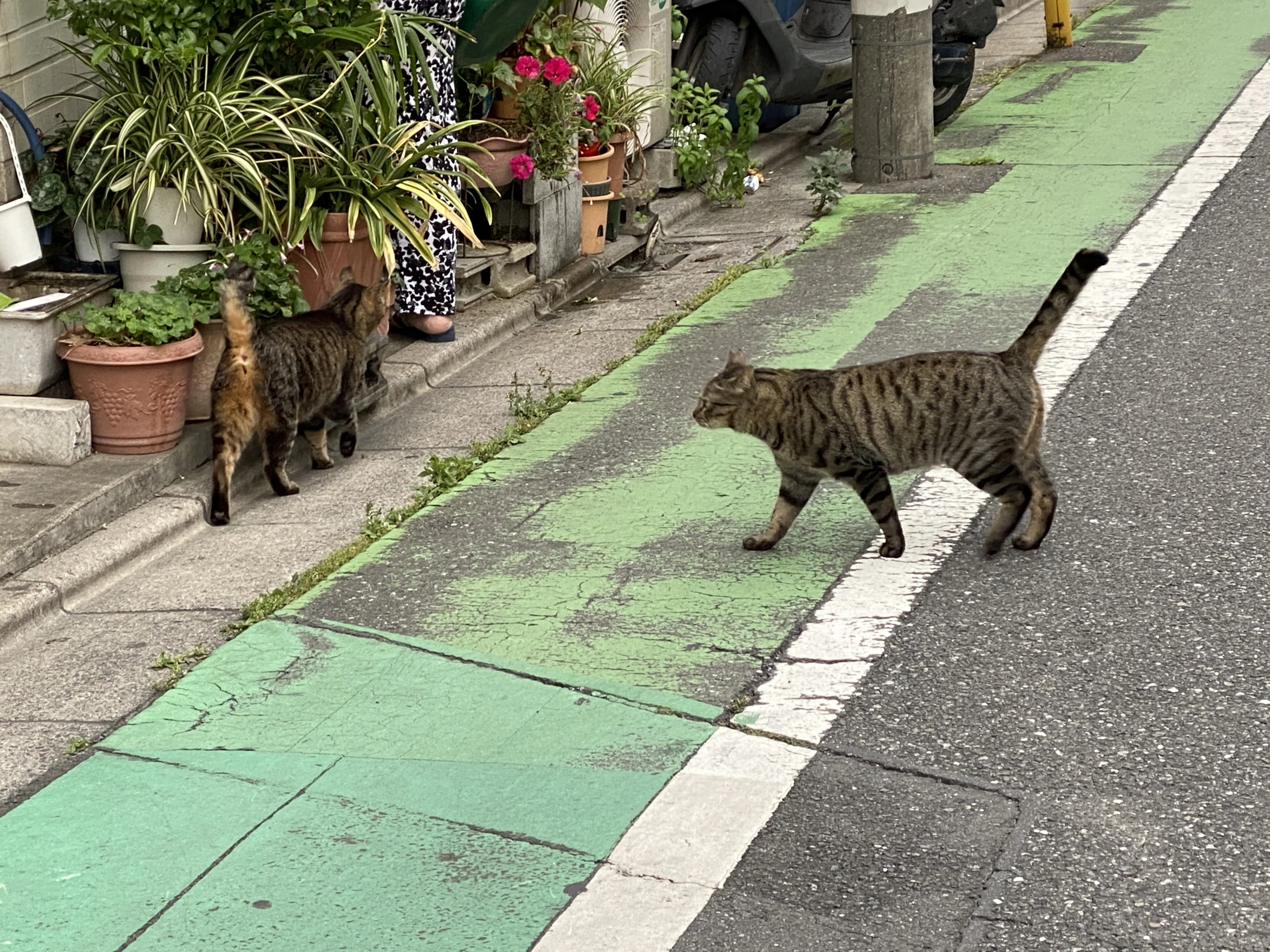 ヒロコ英語ピアノ教室 南浦和教室 画像 69