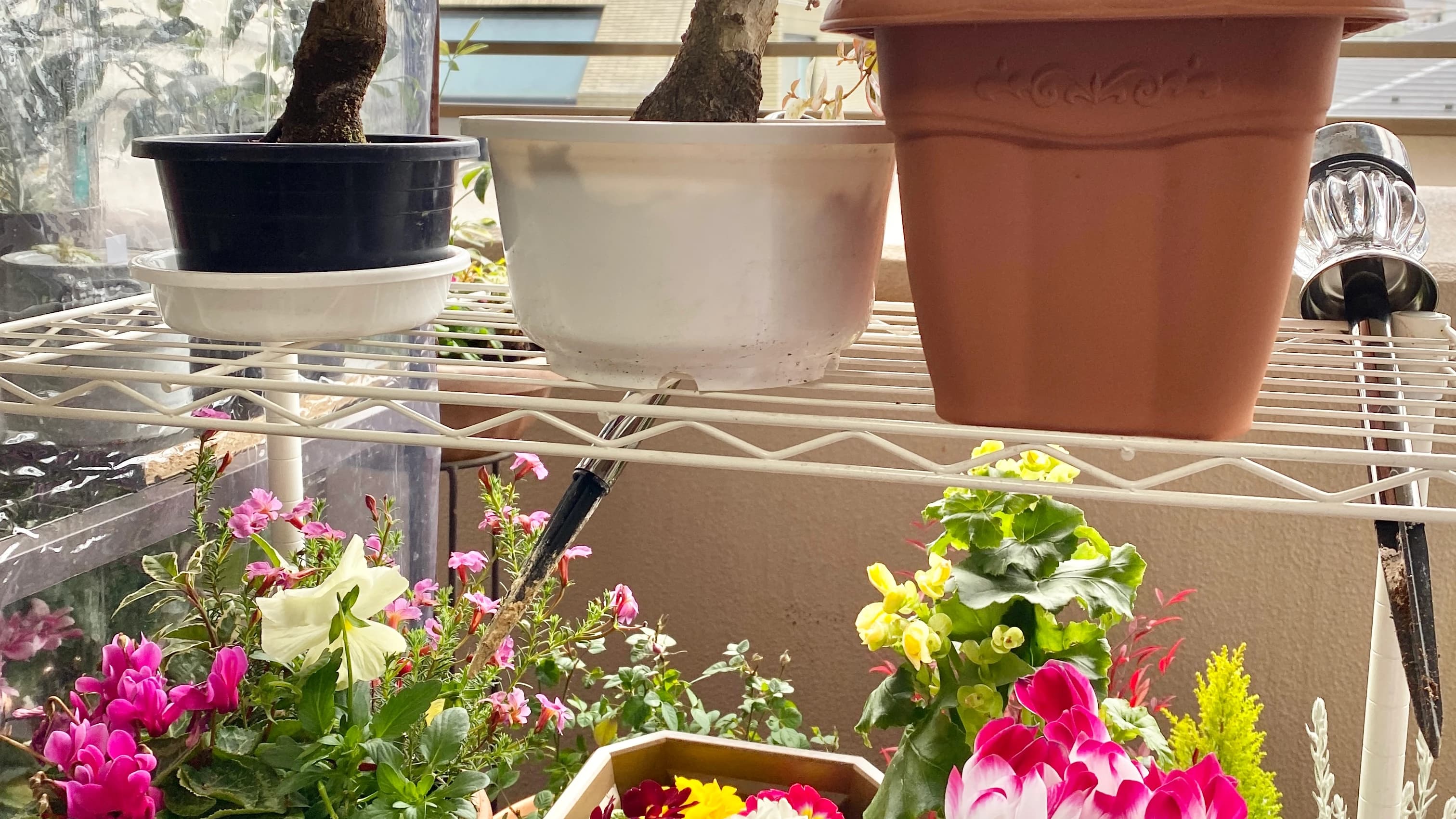 ヒロコ英語ピアノ教室 南浦和教室 画像 76