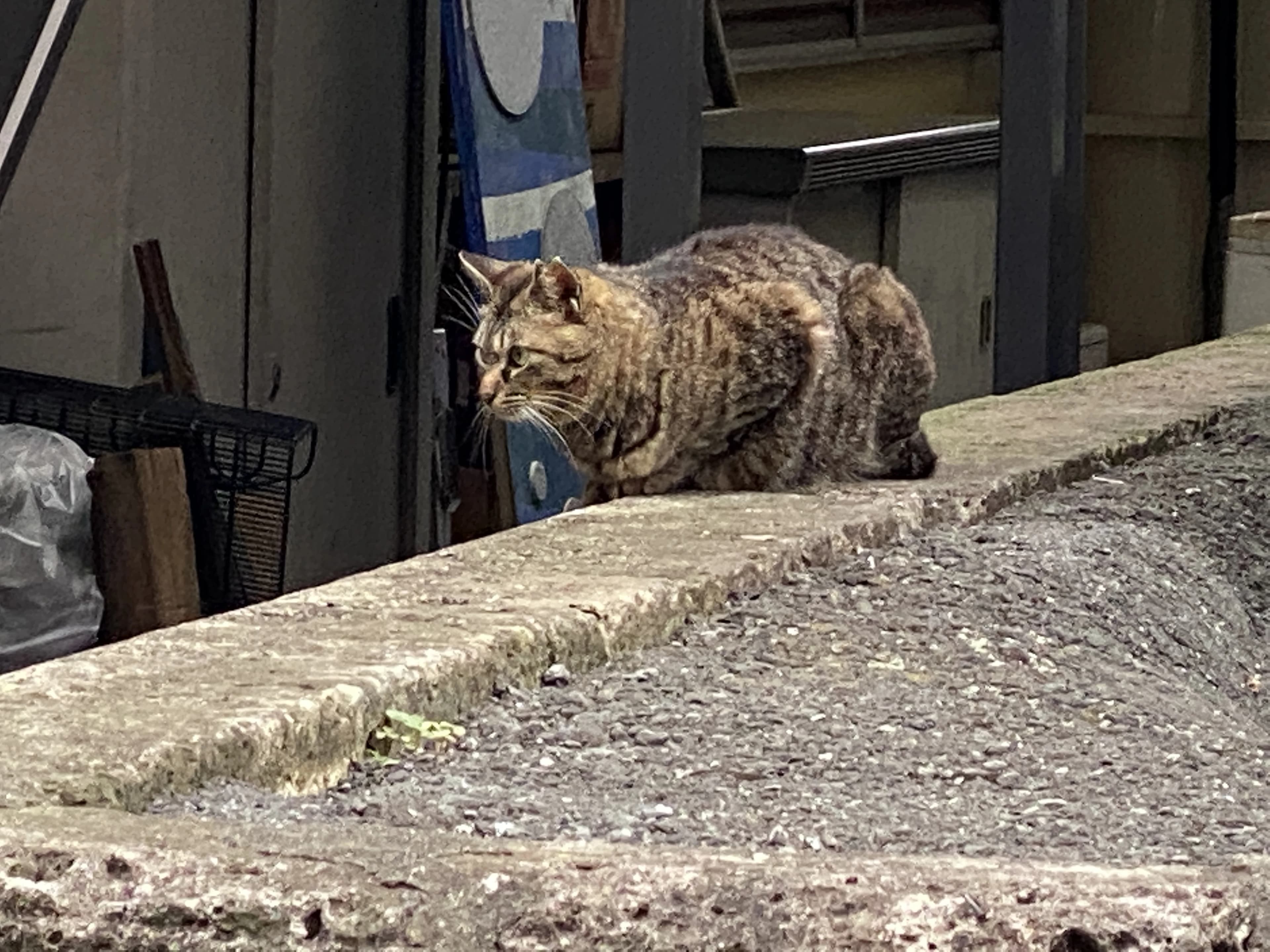 ヒロコ英語ピアノ教室 南浦和教室 画像 79