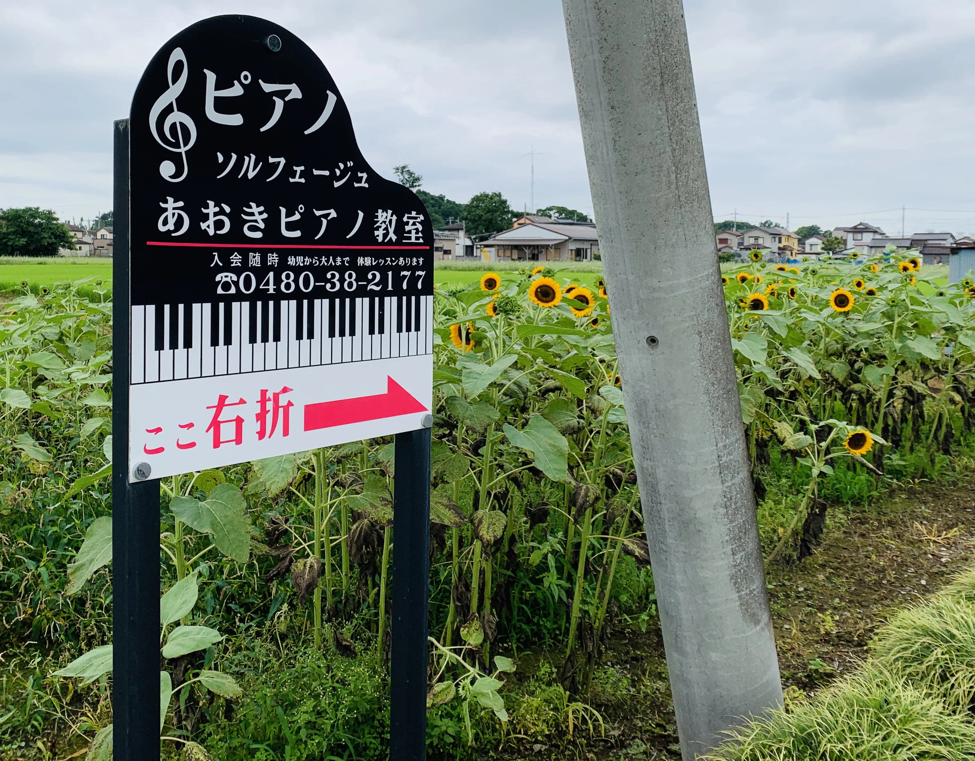 あおきピアノ教室[埼玉県] 杉戸町教室のサムネイル画像 4