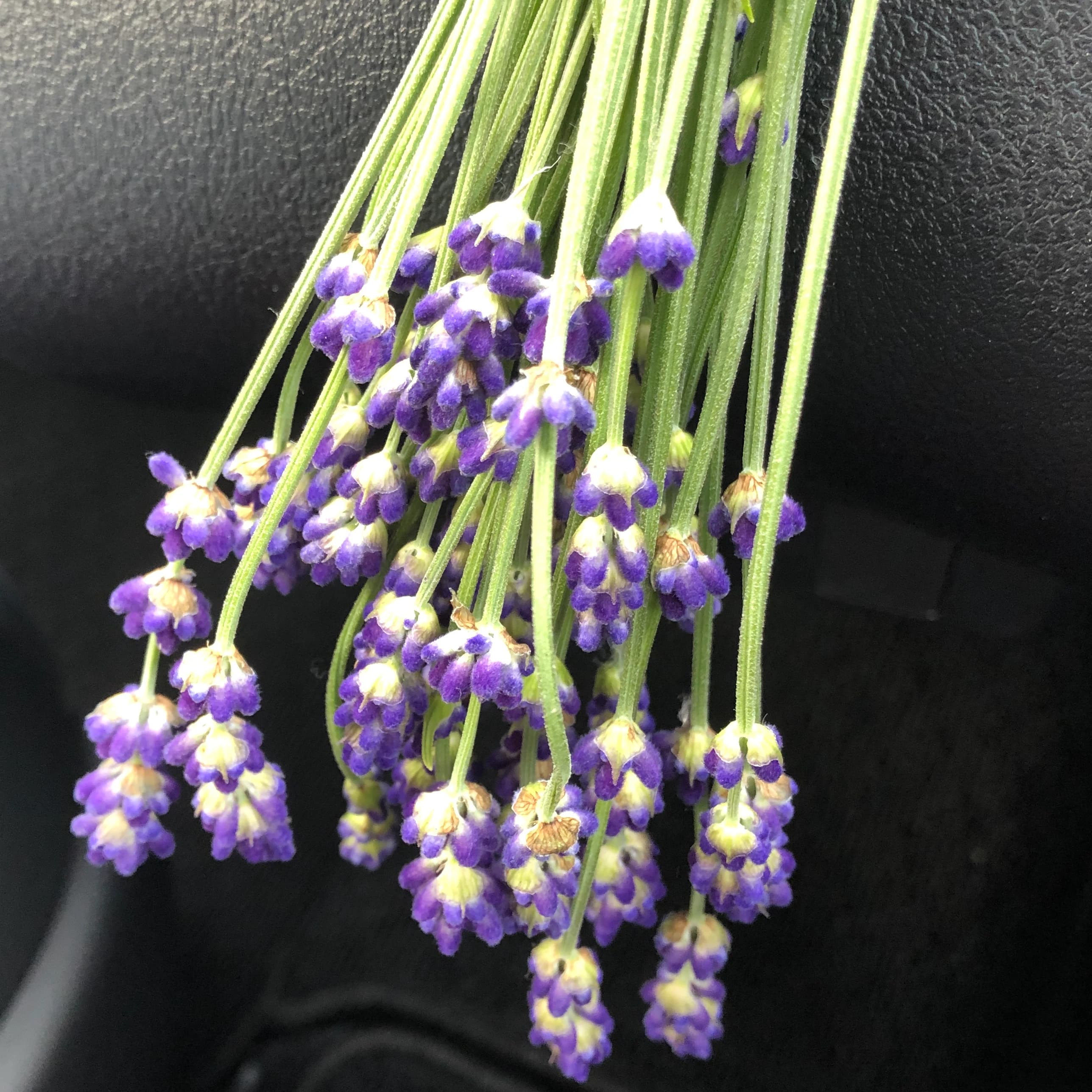 金子ちかこピアノ教室 共栄町教室のサムネイル画像 2