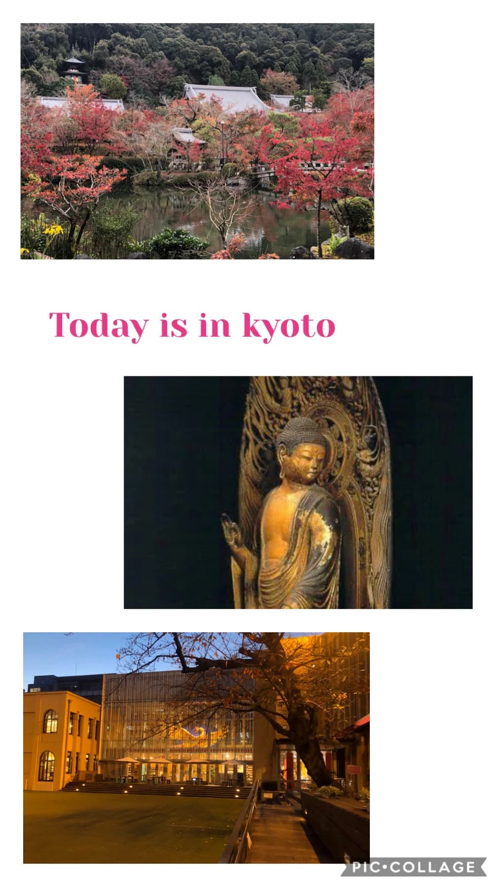 金子ちかこピアノ教室 共栄町教室 画像 39