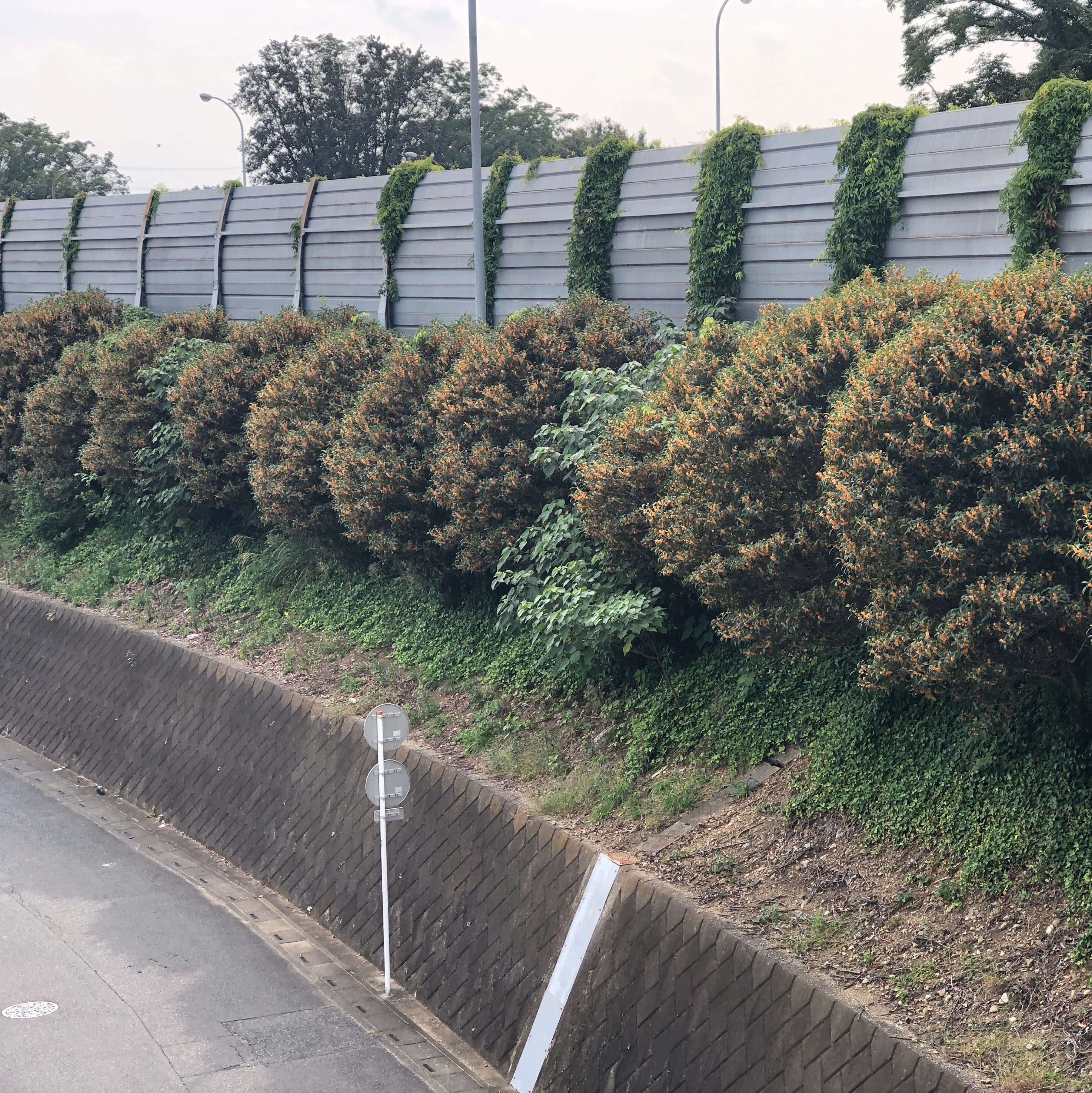 金子ちかこピアノ教室 共栄町教室 画像 42