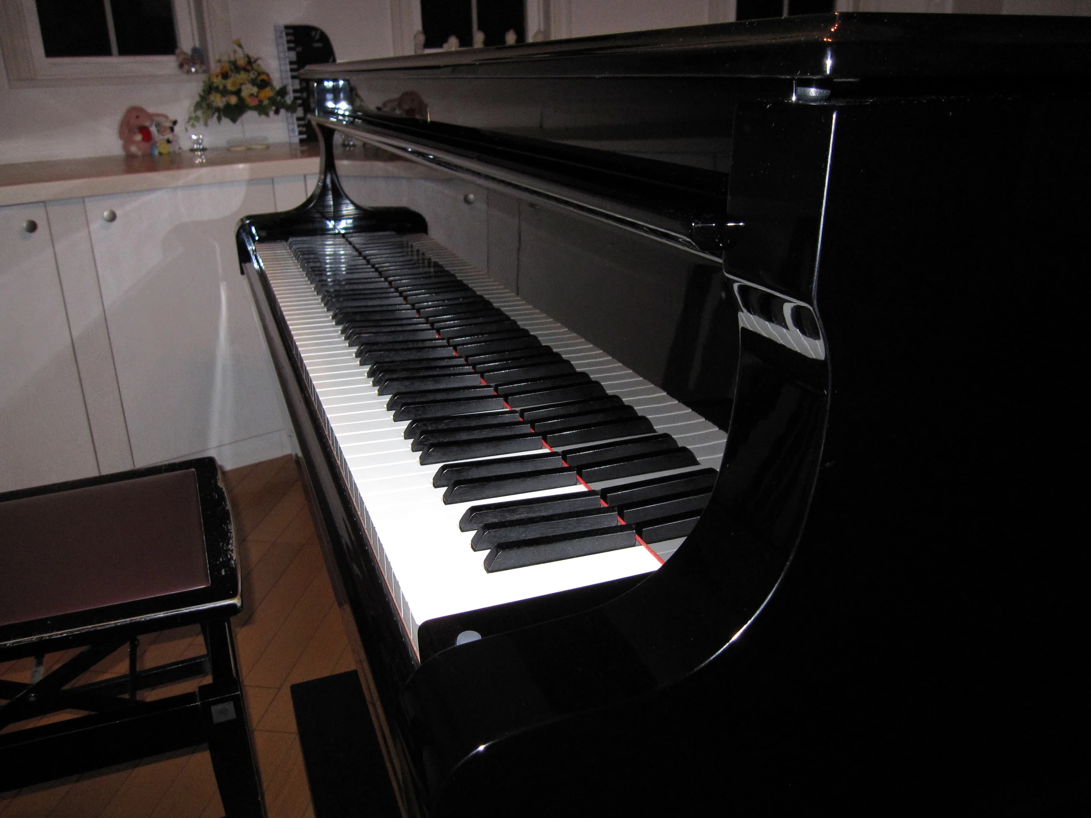 サキ・ミュージック ピアノ 八木崎教室のサムネイル画像 3