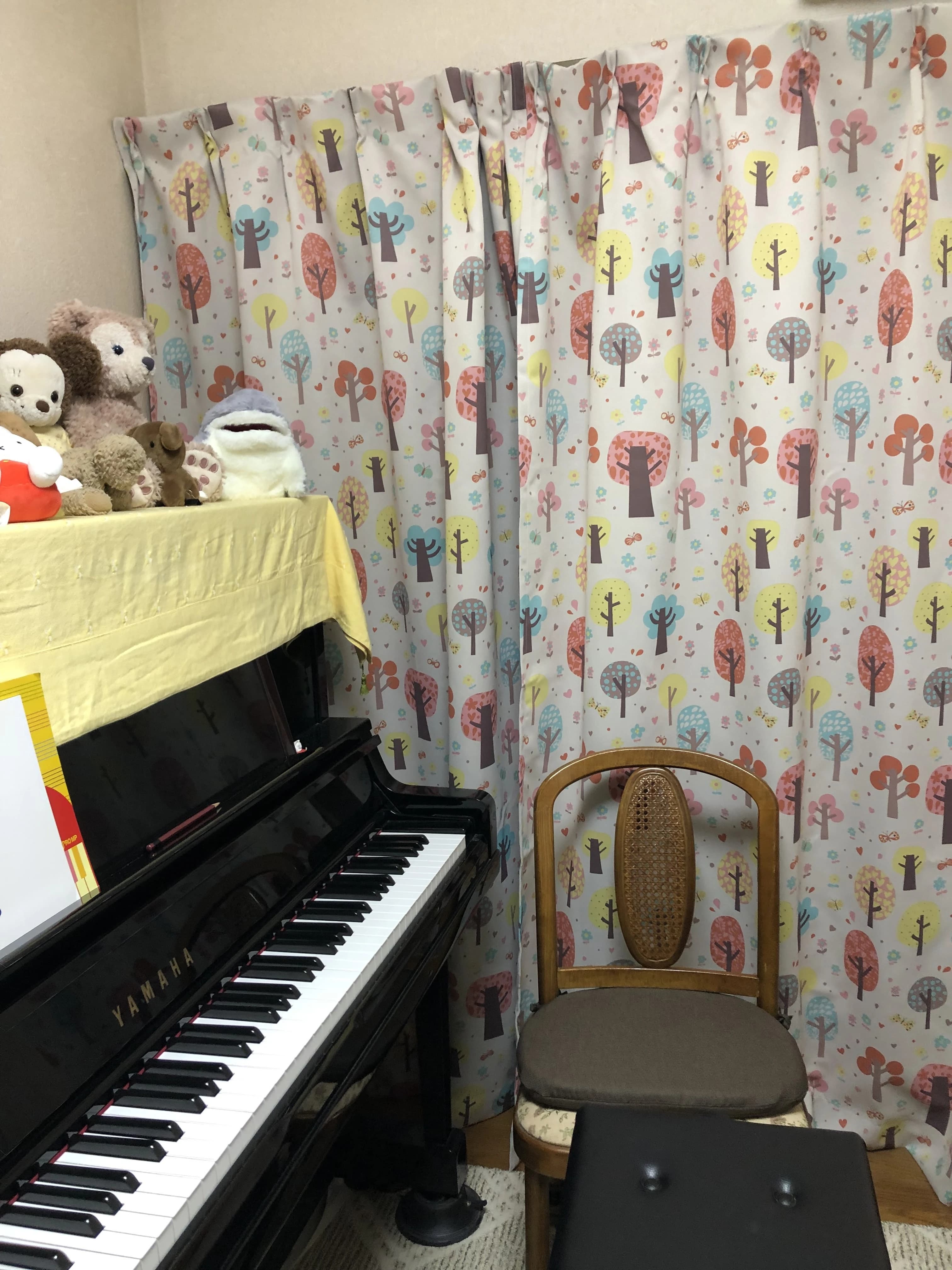 Petit Bouquet（プチ・ブーケ） ピアノ 野久喜教室のサムネイル画像 3