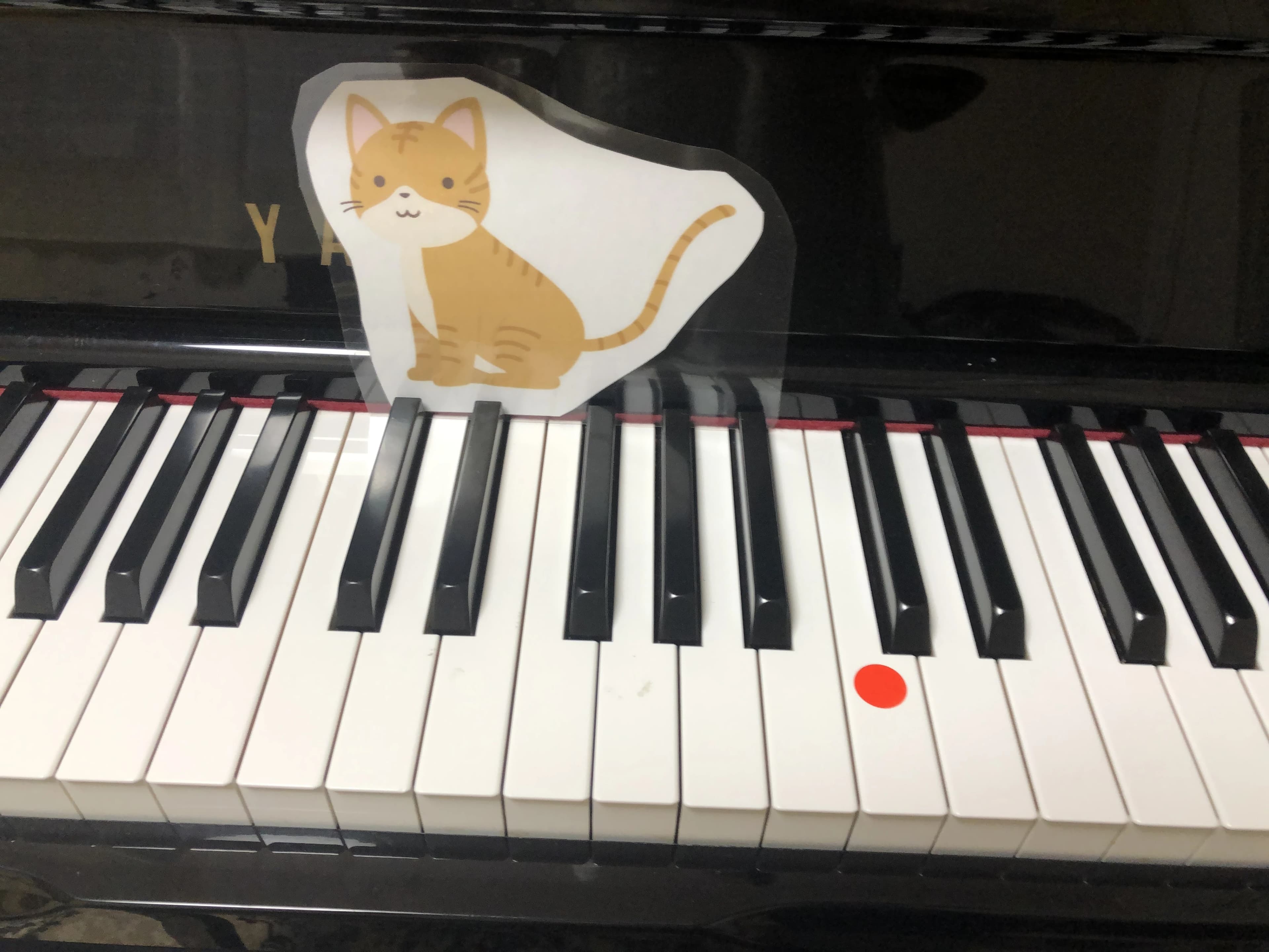 Petit Bouquet（プチ・ブーケ） ピアノ 野久喜教室のサムネイル画像 5