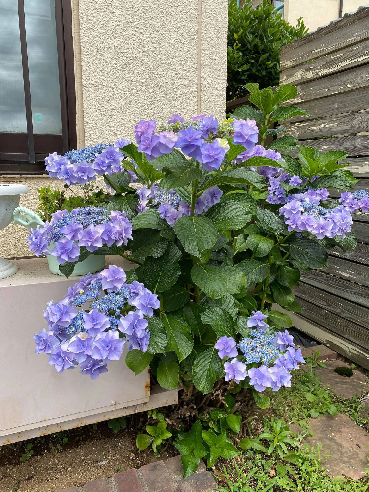 ルプリーズ音楽教室 ピアノ 船橋日大前教室のサムネイル画像 4