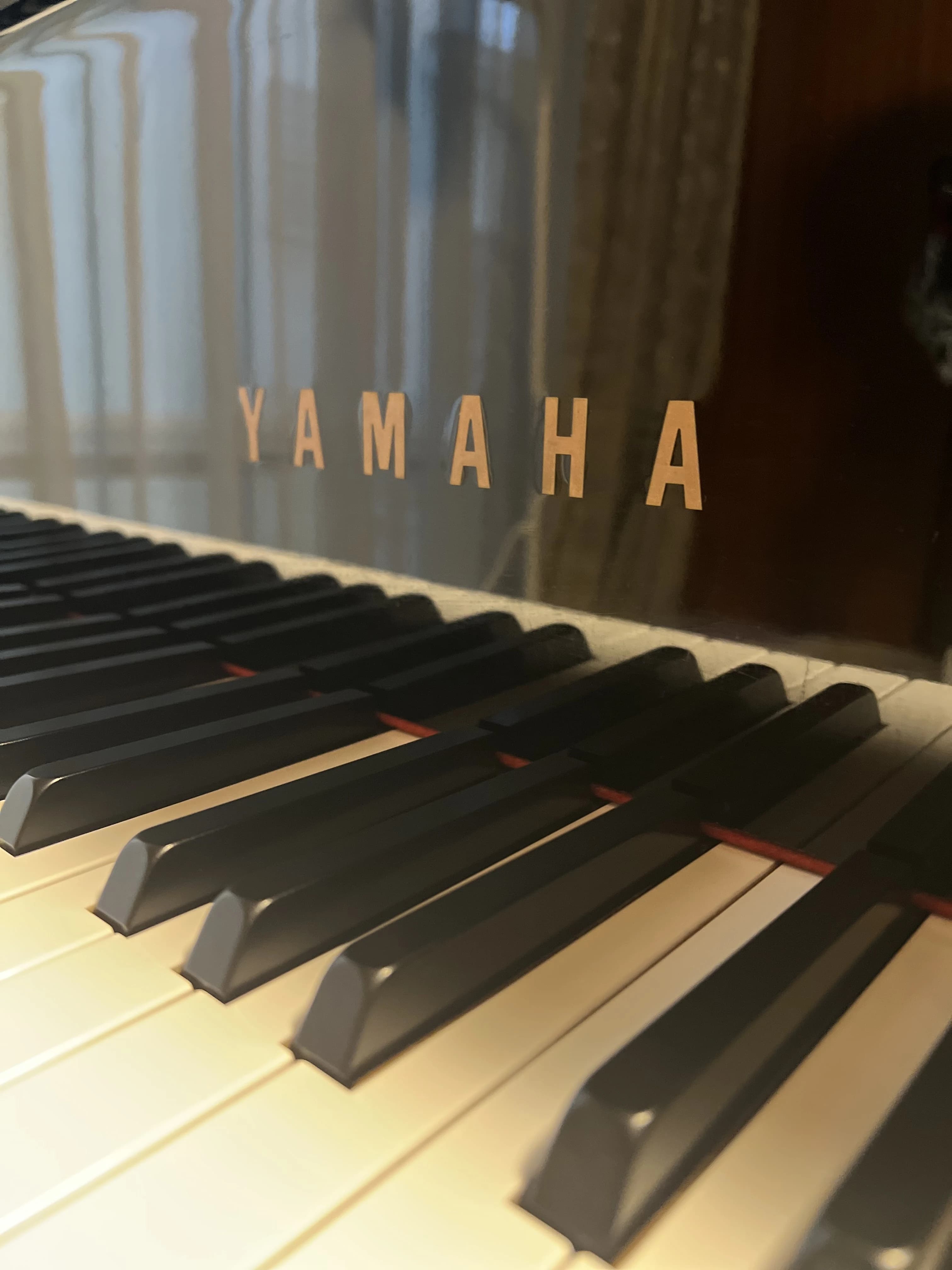 平田音楽教室 ピアノ 宮本教室のサムネイル画像 3