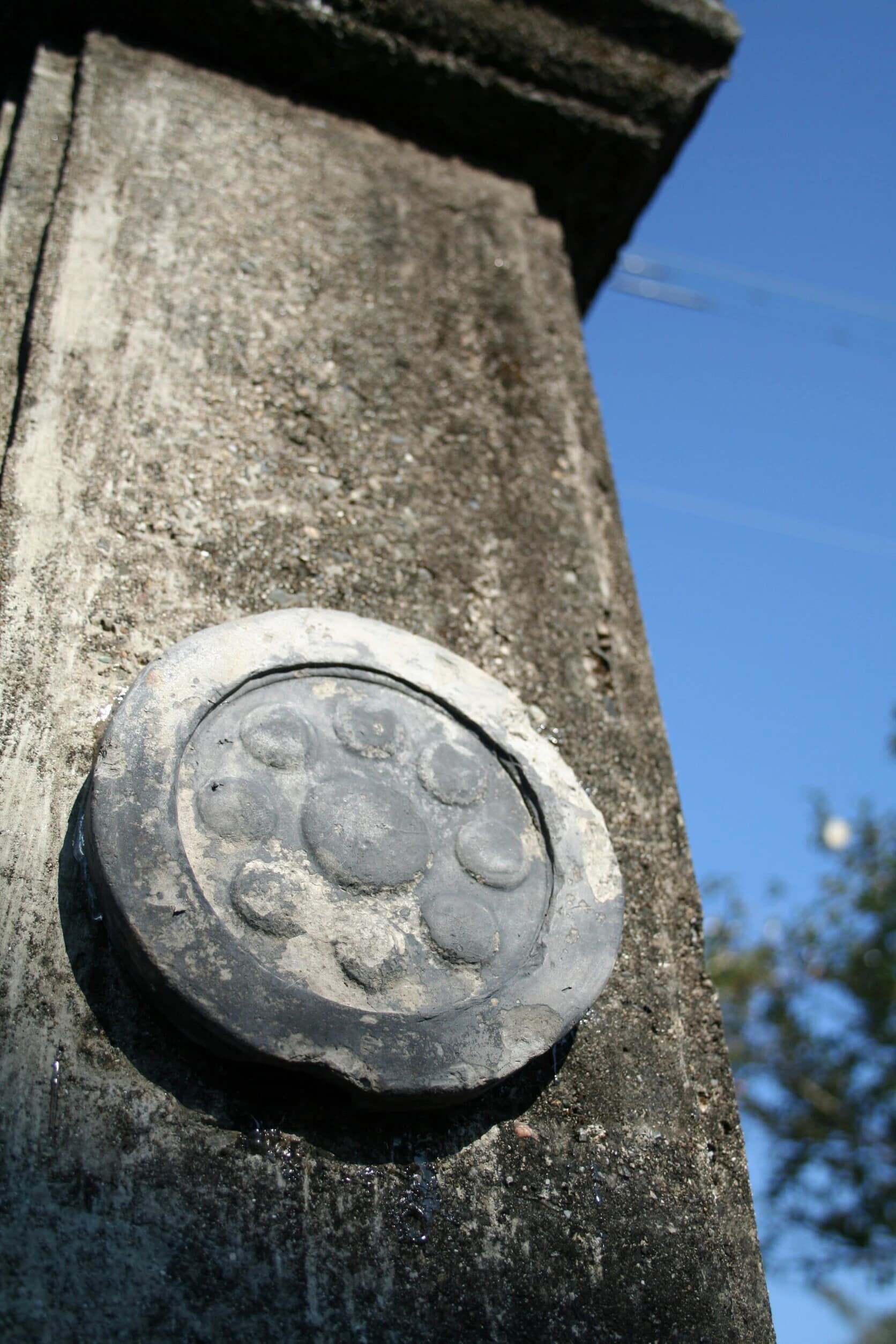 兵法タイ捨流 こども剣術教室のサムネイル画像 4