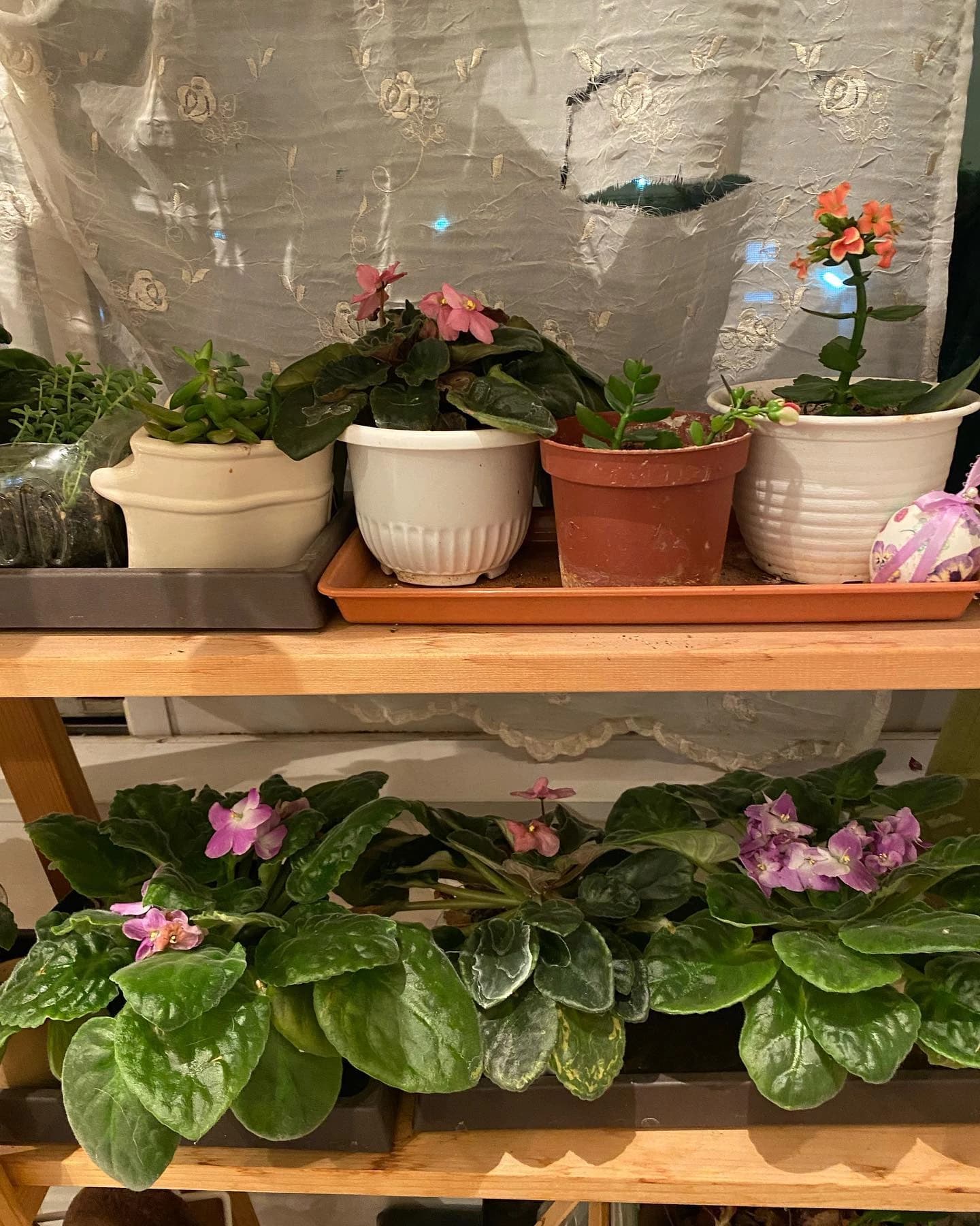 ピアノ教室ぽこあぽこ 市川教室のサムネイル画像 2