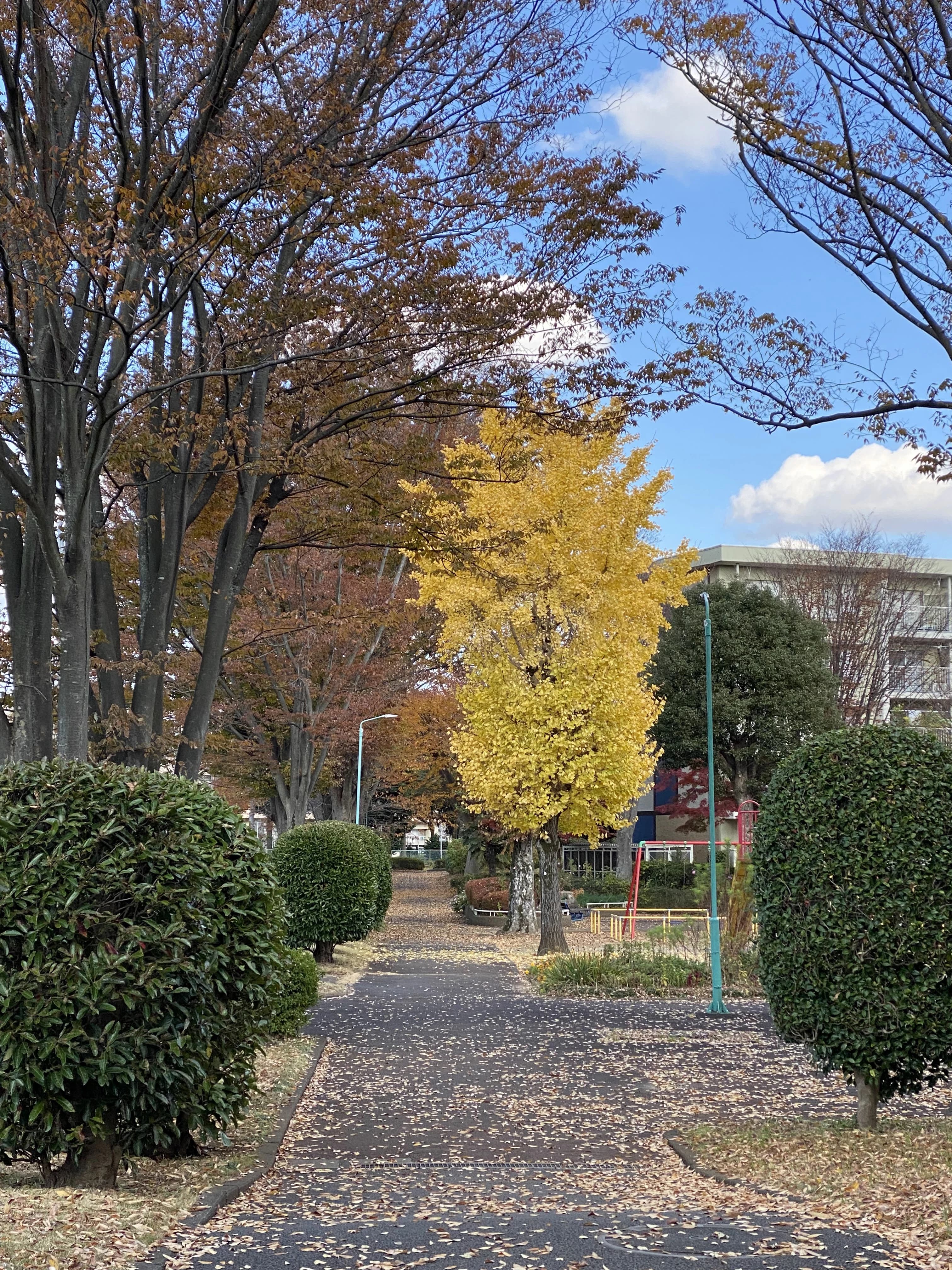 anello音楽教室 ピアノ 高品町教室のサムネイル画像 3