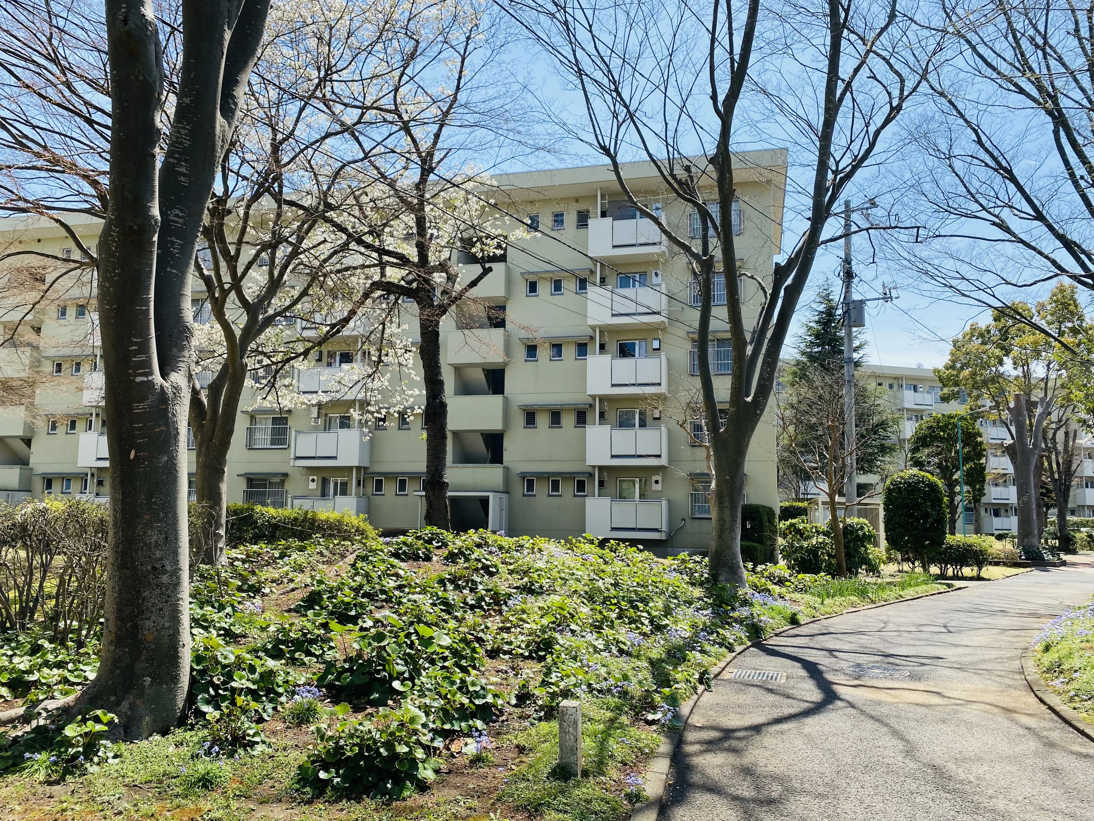 anello音楽教室 ピアノ 高品町教室のサムネイル画像 4