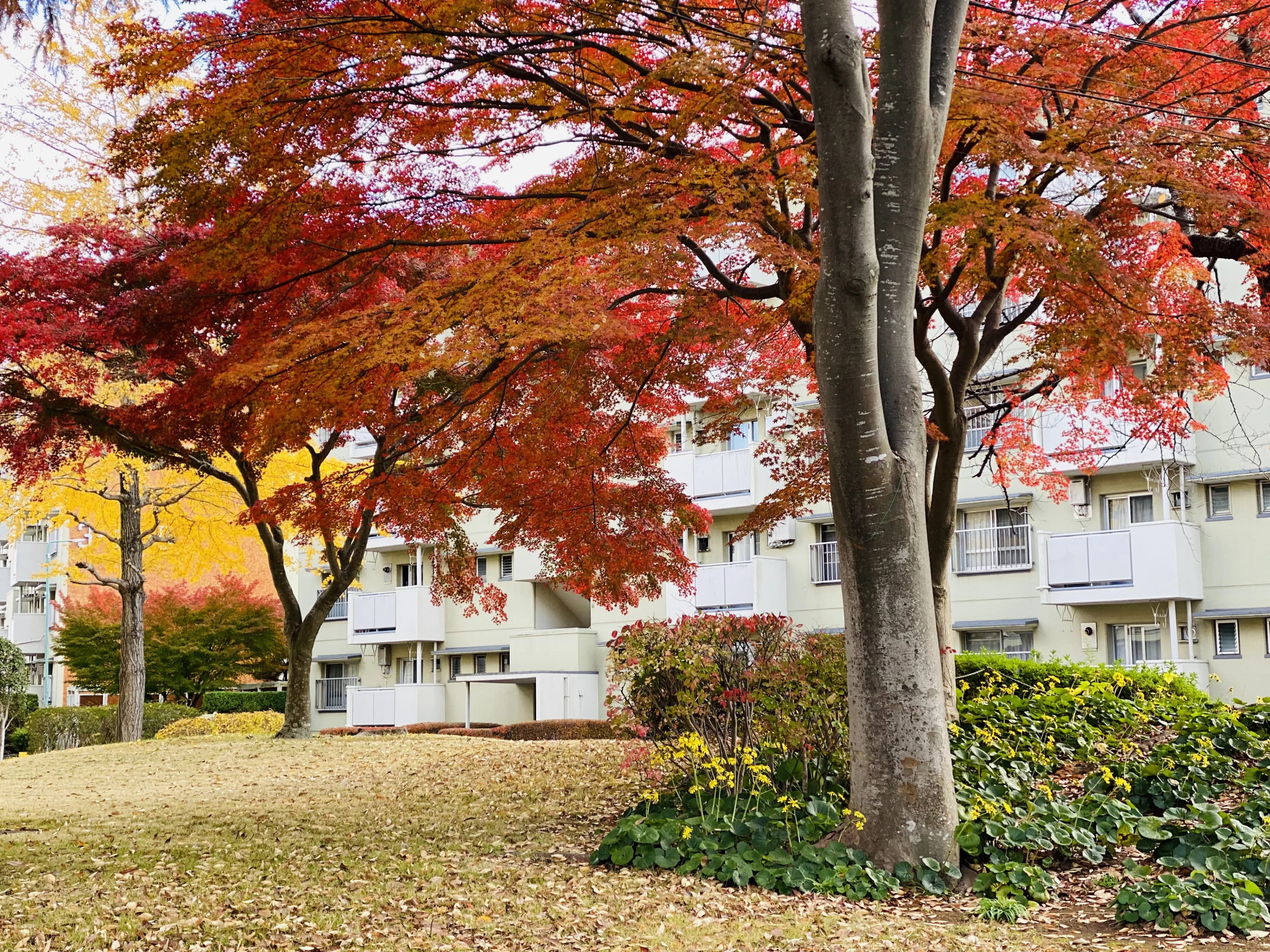 anello音楽教室 ピアノ 高品町教室のサムネイル画像 5