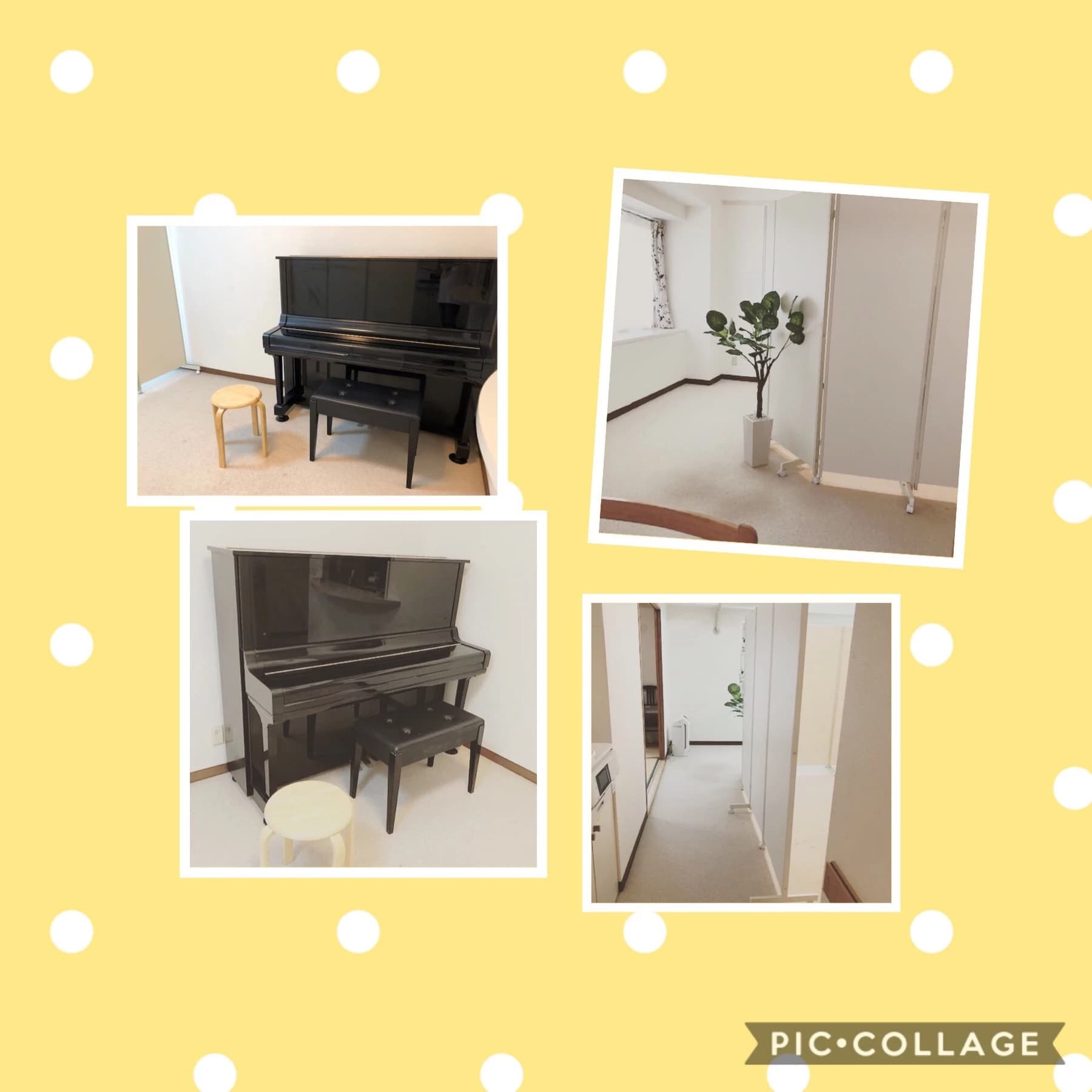 どんぐりの森音楽教室 ピアノ 宮本教室のサムネイル画像 3