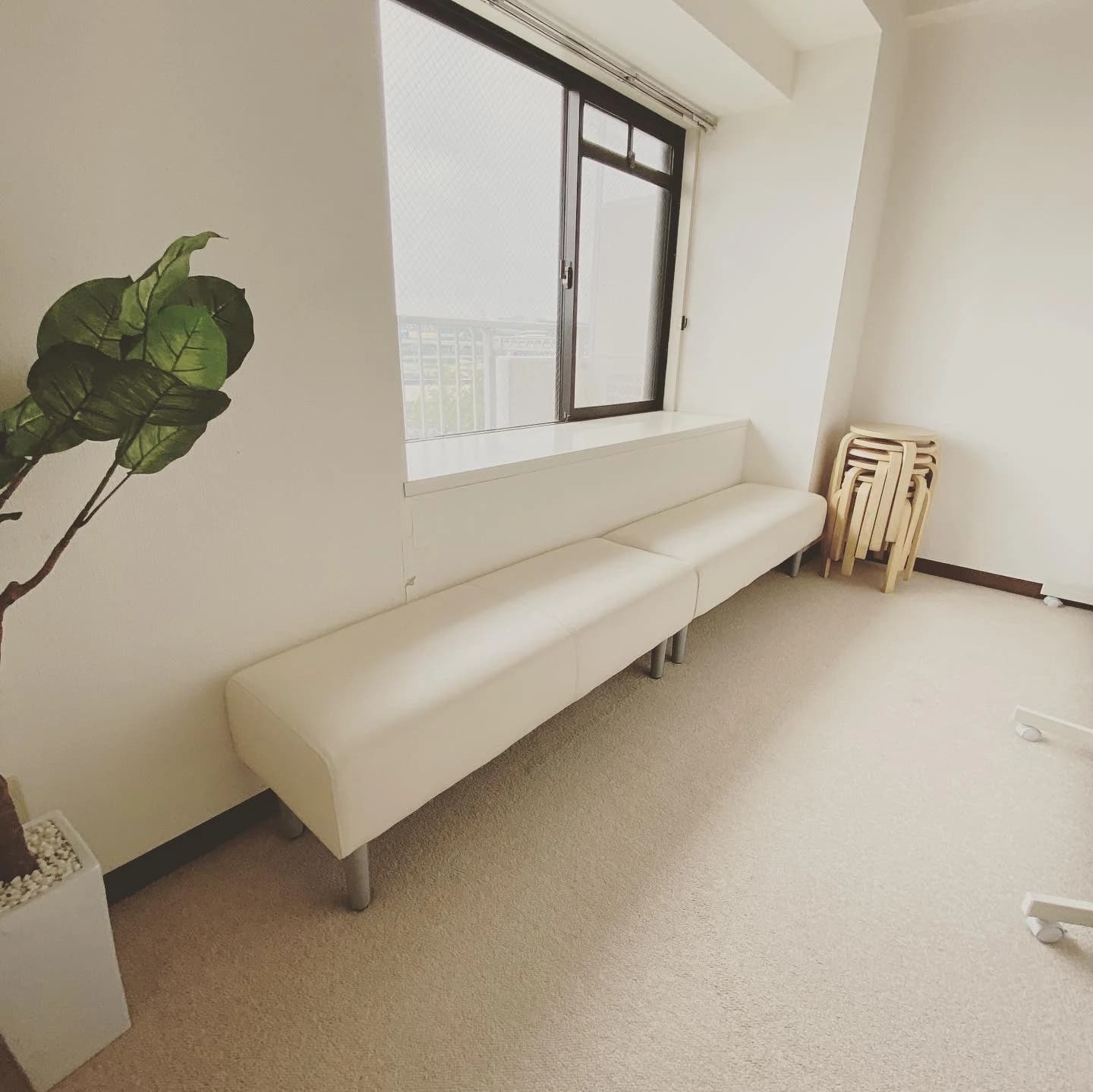 どんぐりの森音楽教室 ピアノ 宮本教室のサムネイル画像 5