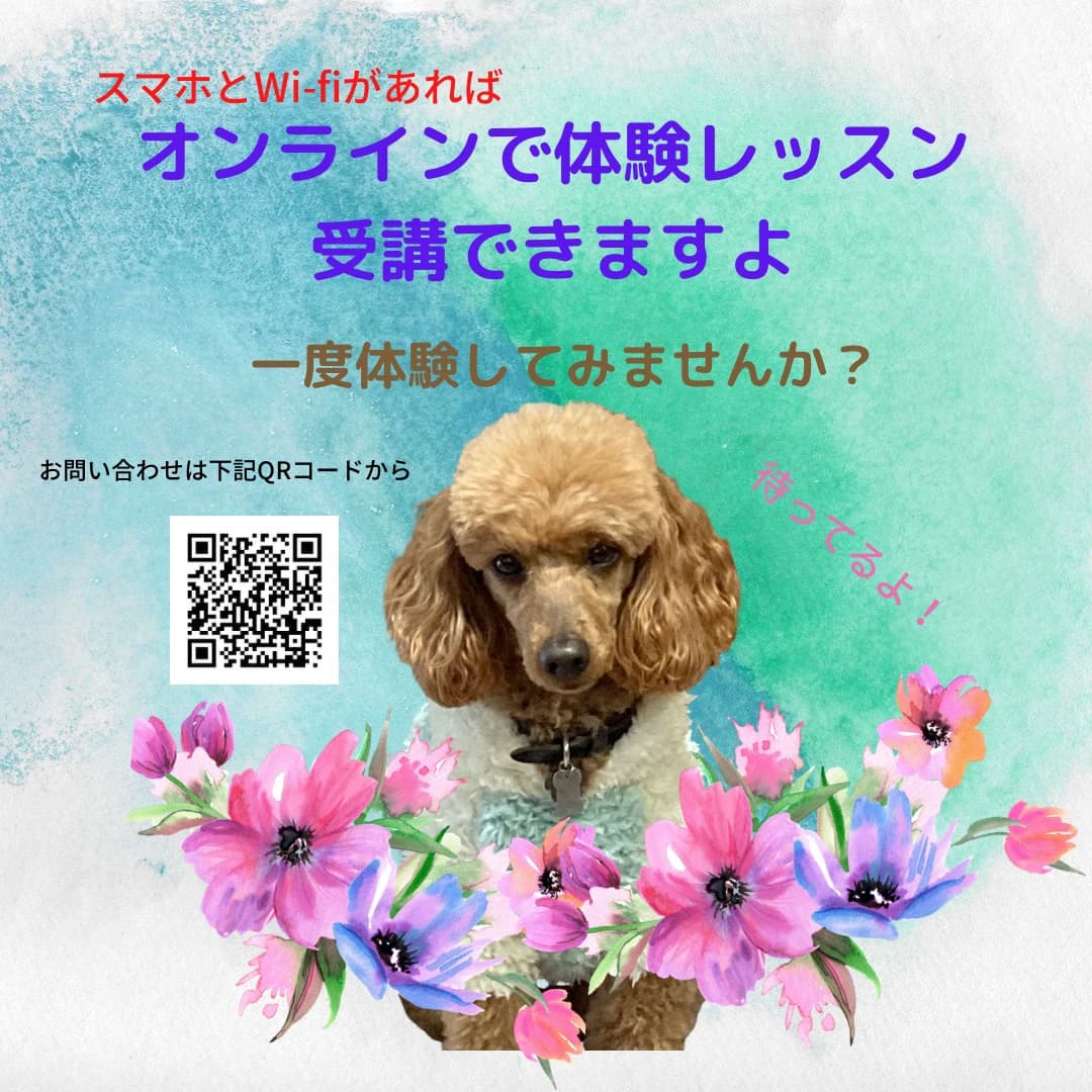 ナチュラル田中音楽教室 ピアノ 金親町教室 画像 17