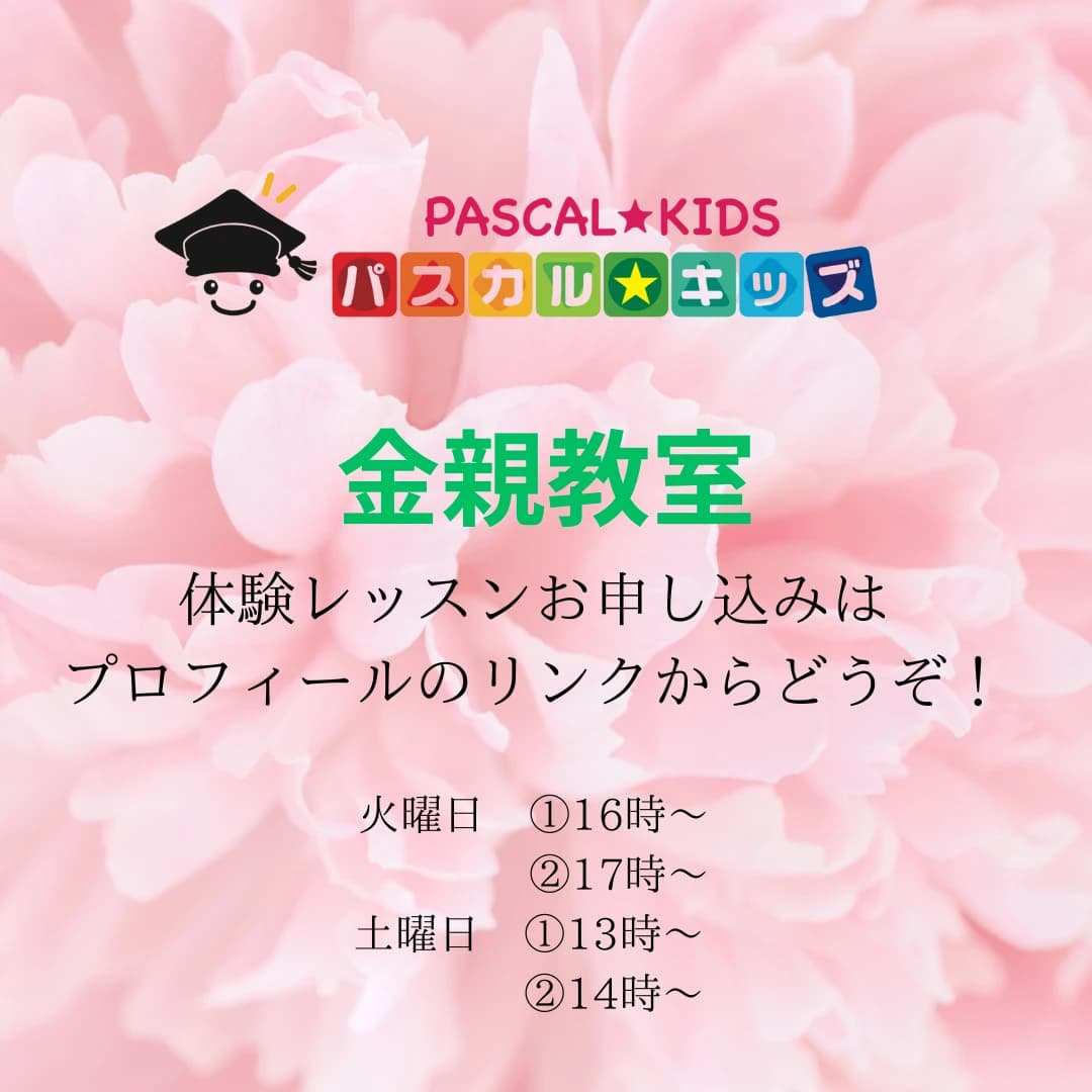 ナチュラル田中音楽教室 ピアノ 金親町教室 画像 23