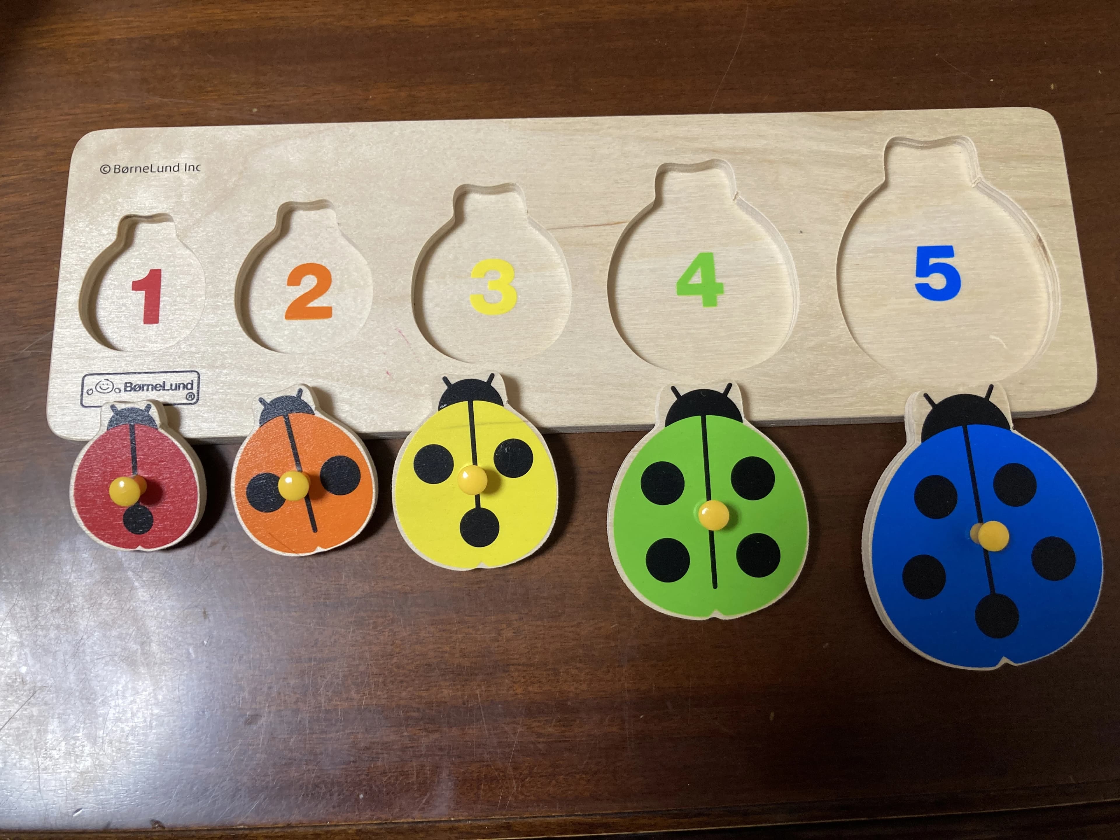 ナチュラル田中音楽教室 ピアノ 金親町教室のサムネイル画像 2