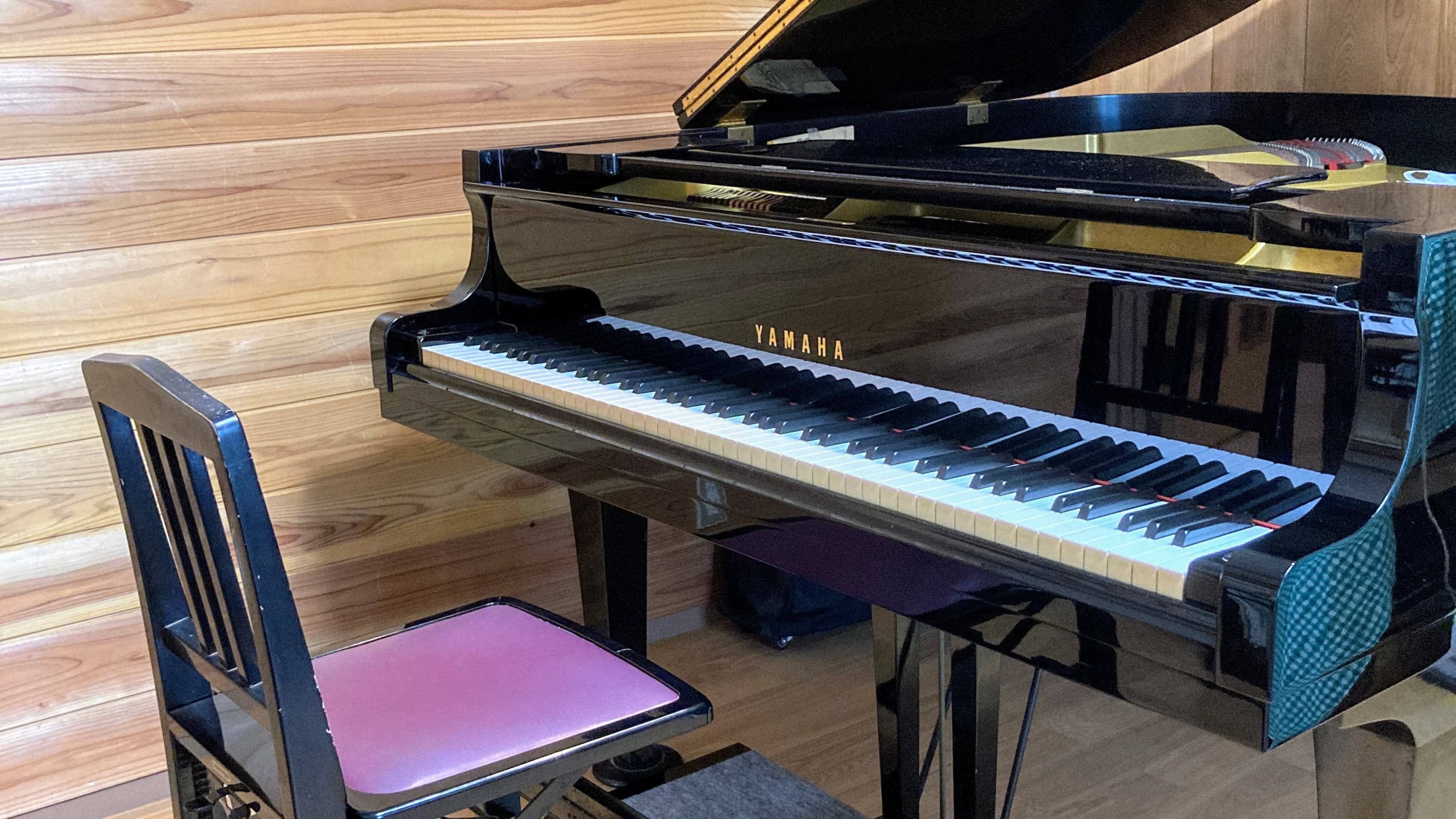 ナチュラル田中音楽教室 ピアノ 金親町教室のサムネイル画像 3