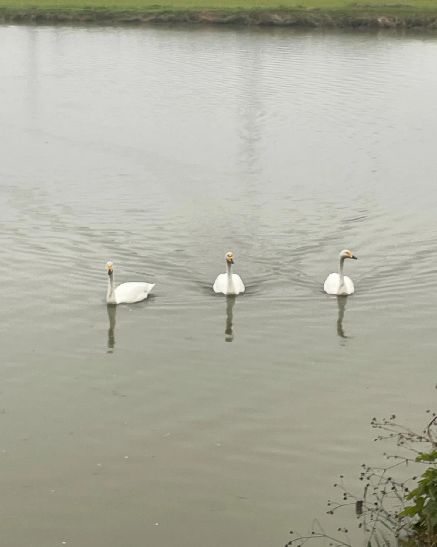 リリアーレ音楽教室 ピアノ 東菅野教室 画像 22