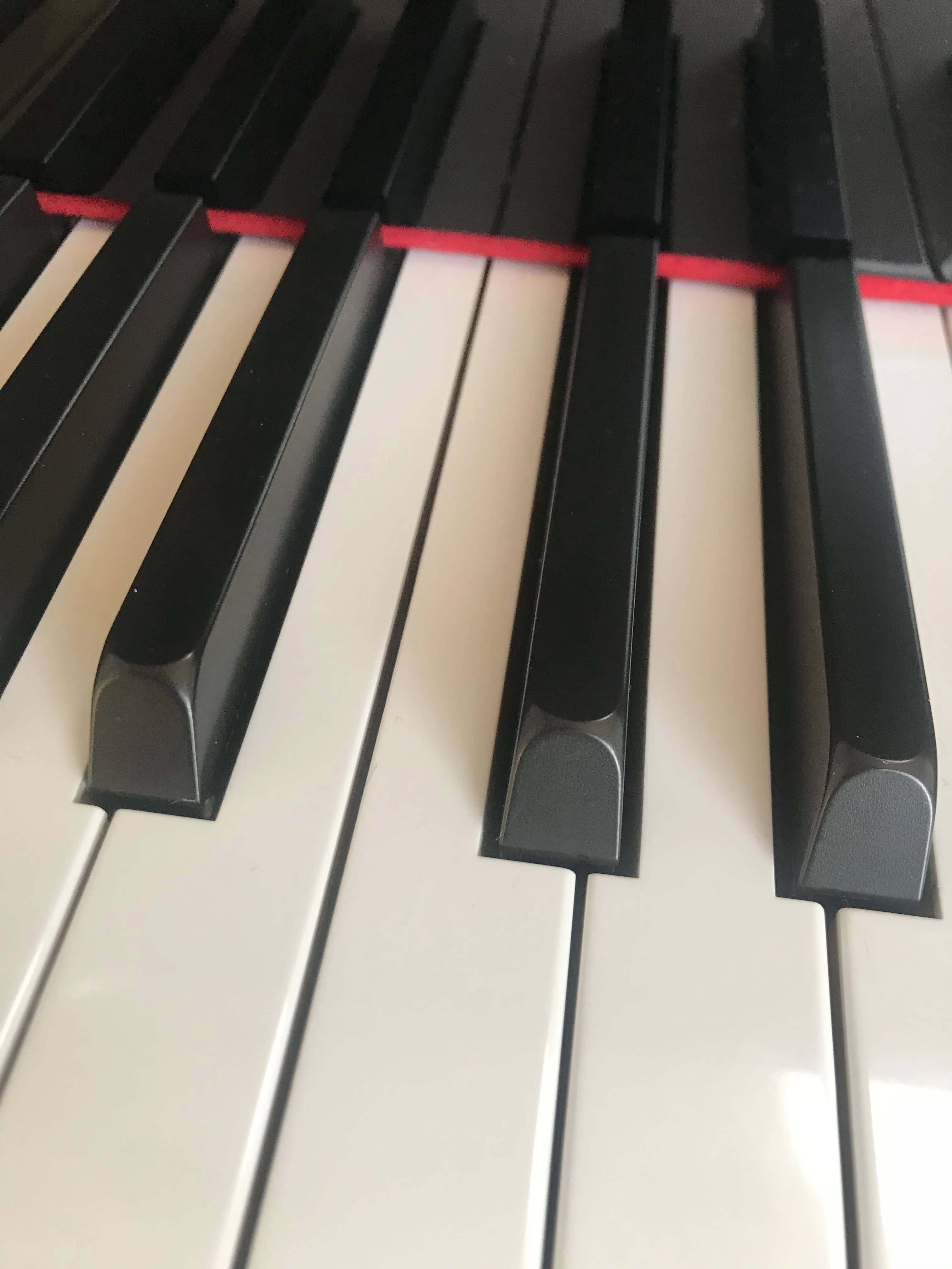 リリアーレ音楽教室 ピアノ 東菅野教室 画像 46