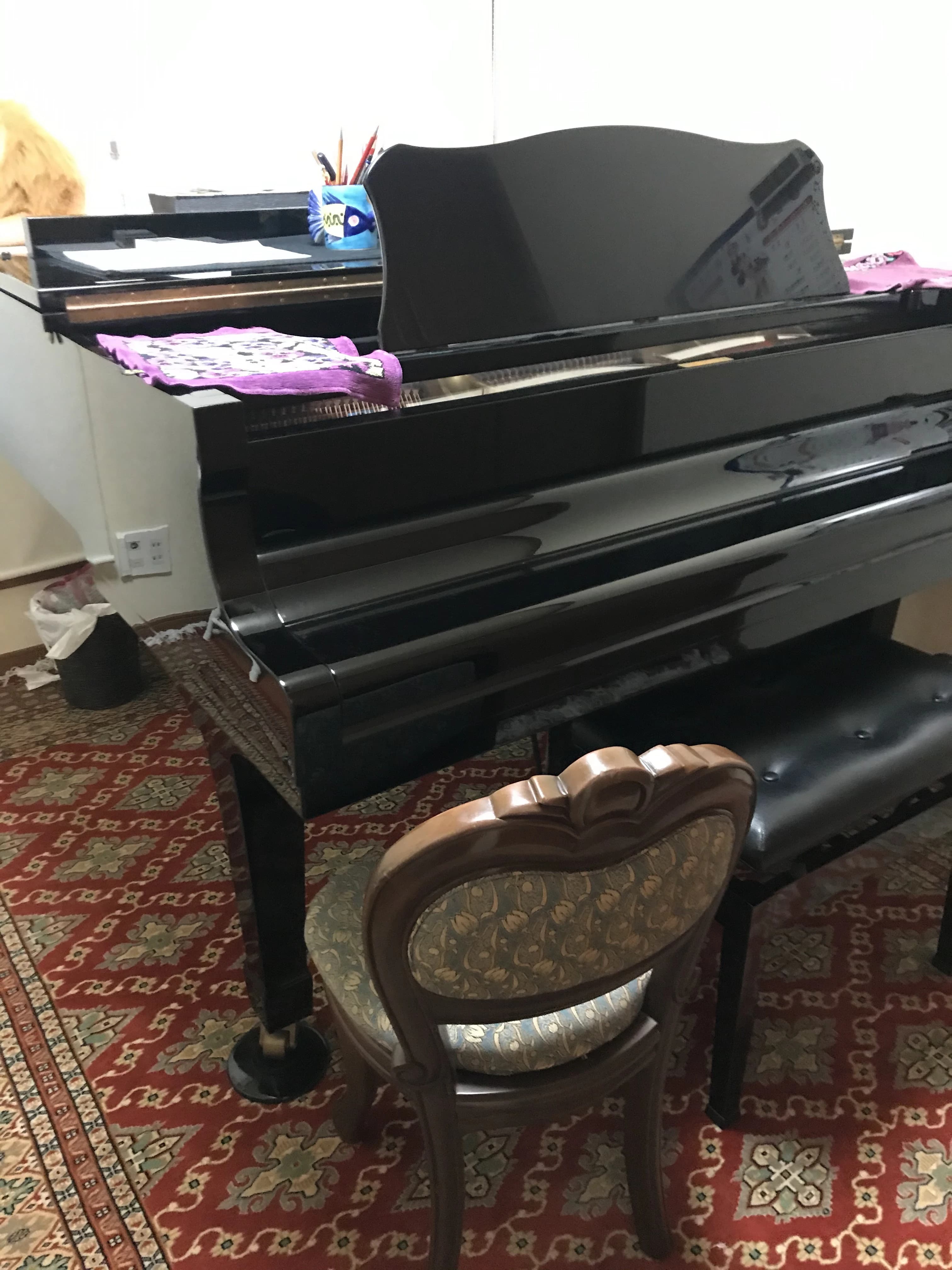 リリアーレ音楽教室 ピアノ 東菅野教室 画像 55