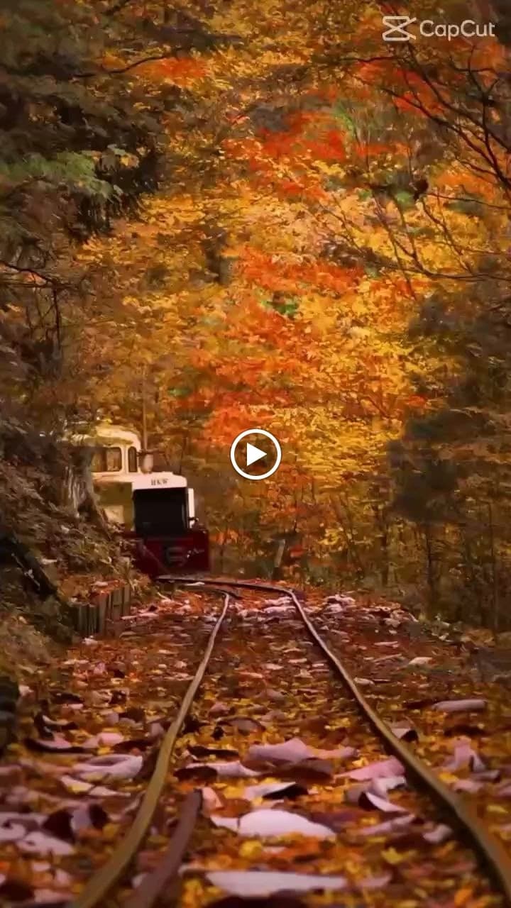 リリアーレ音楽教室 ピアノ 東菅野教室 画像 57