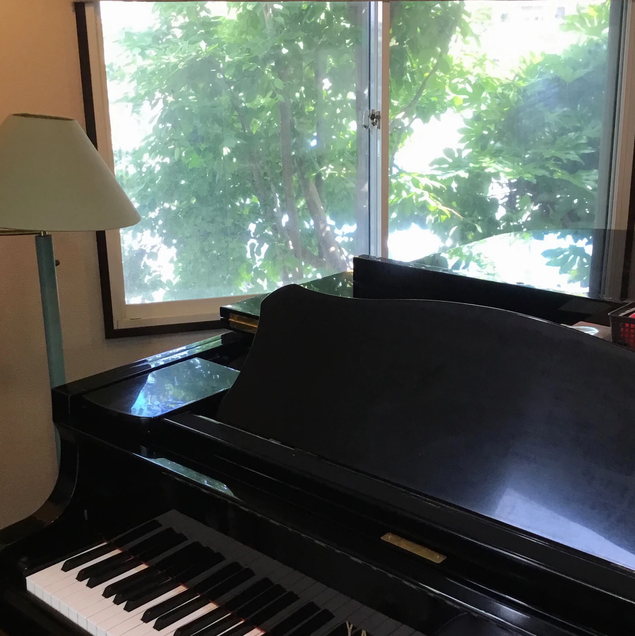 小室典子ピアノ教室 ピアノ 外野教室 画像 17