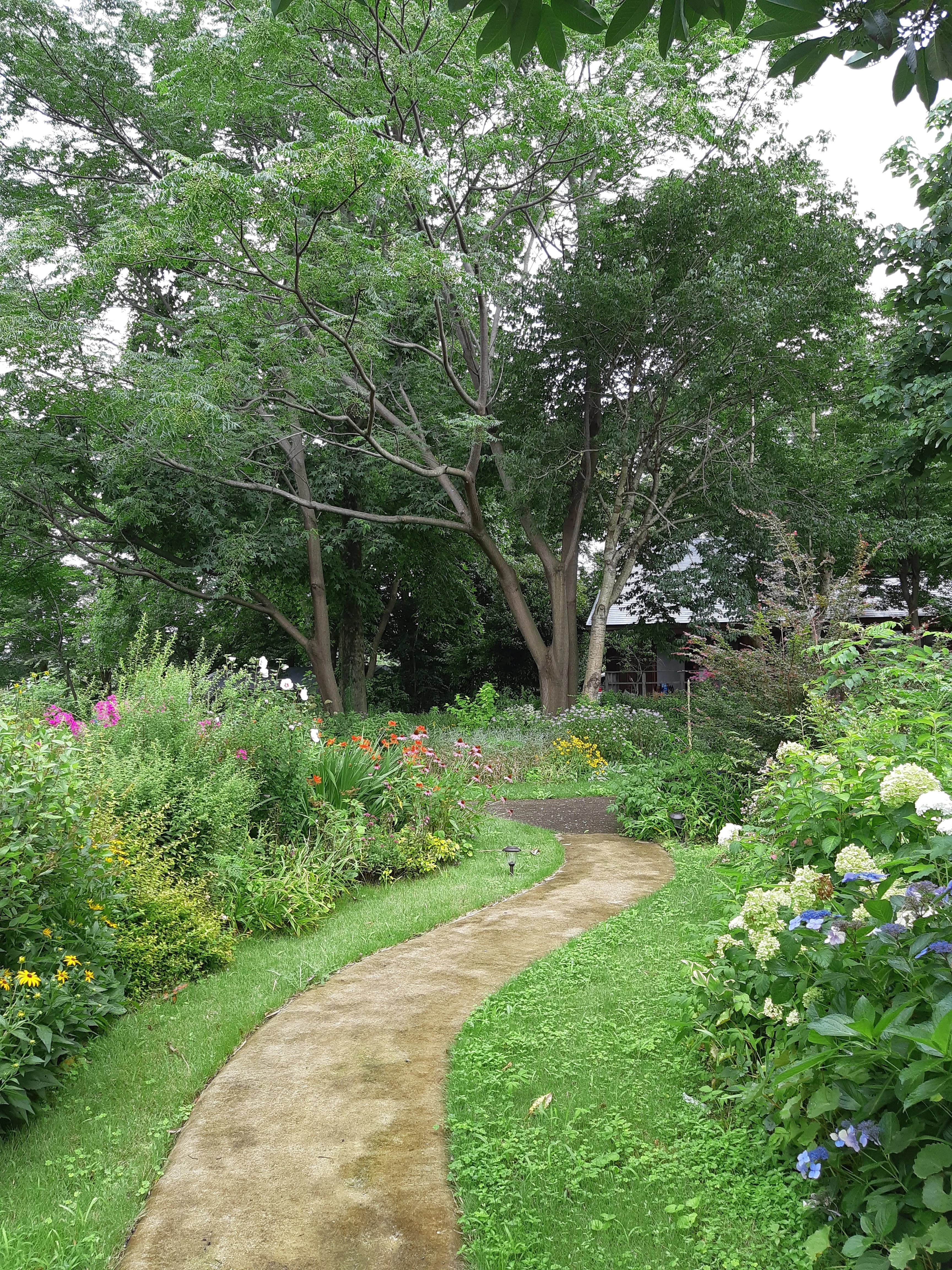 登坂睦子音楽教室 ピアノ 坂手町教室のサムネイル画像 2