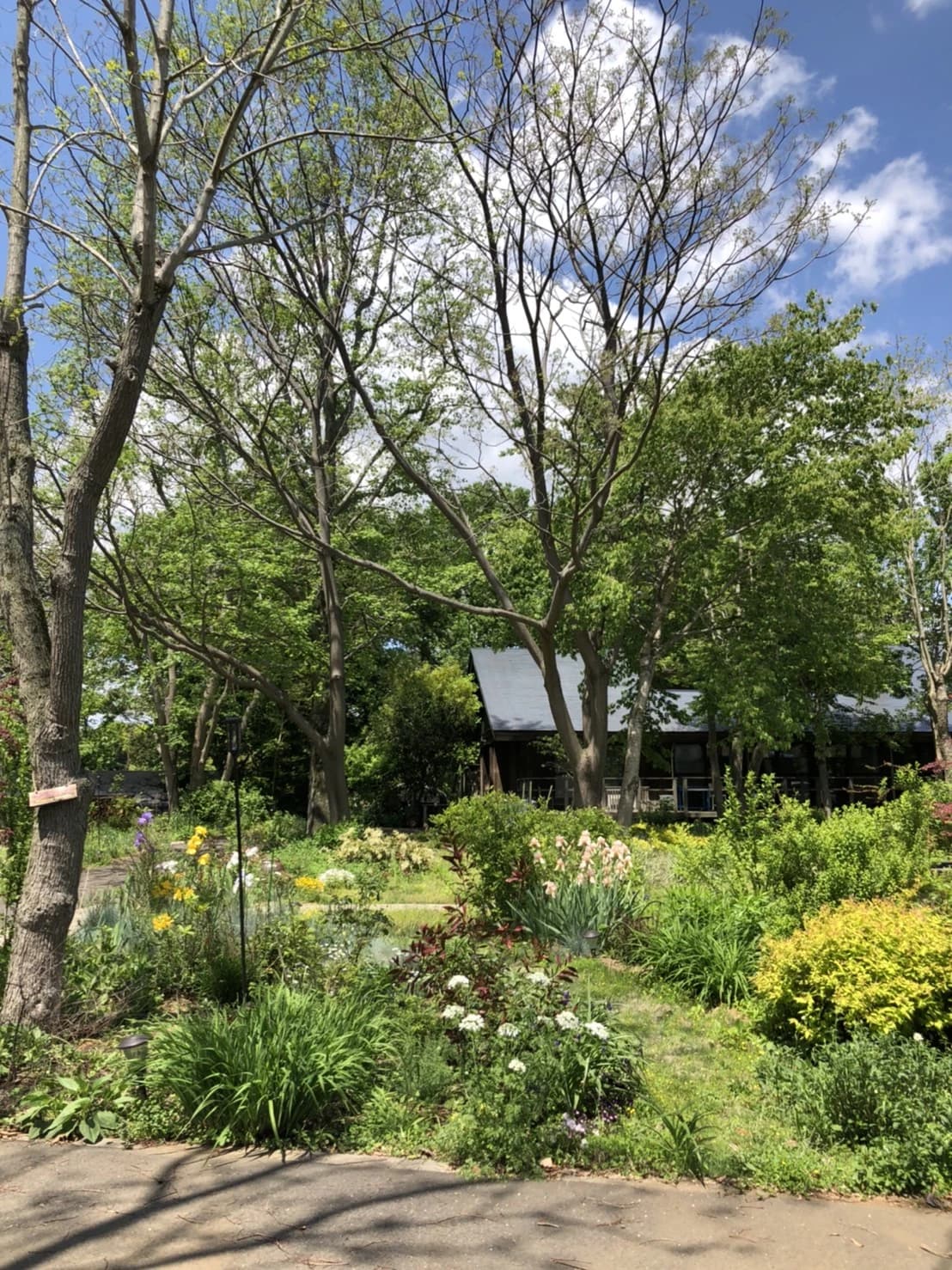 登坂睦子音楽教室 ピアノ 坂手町教室のサムネイル画像 3