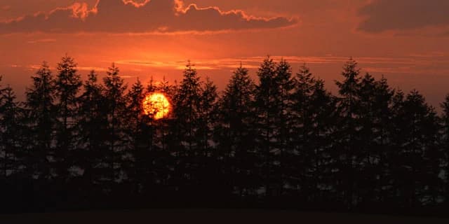 登坂睦子音楽教室 ピアノ 坂手町教室のサムネイル画像 4