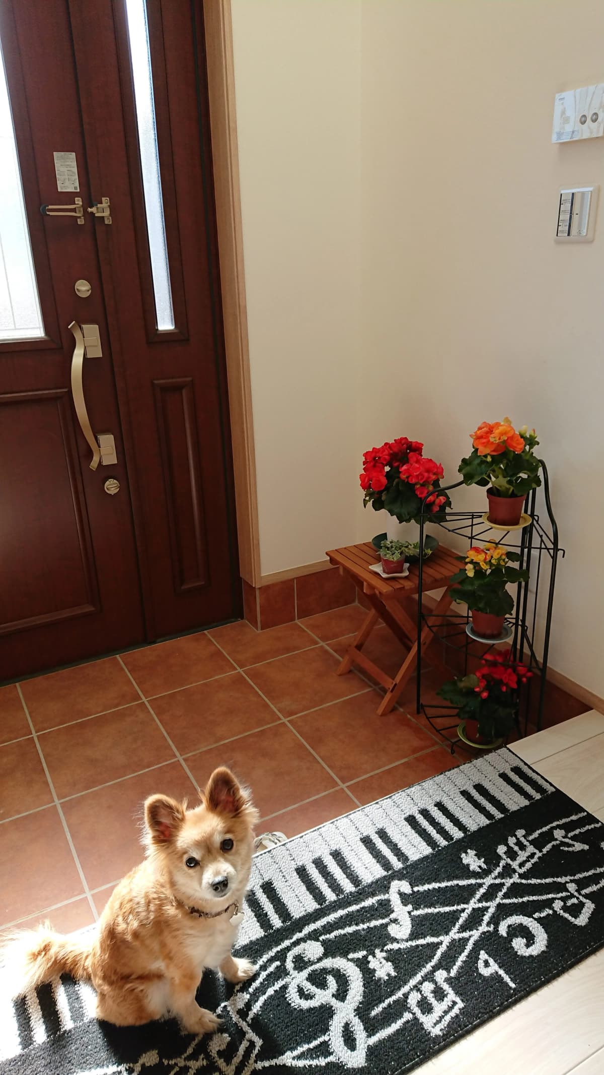 ハッピーチルドレンピアノエレクトーン教室 本校 画像 52