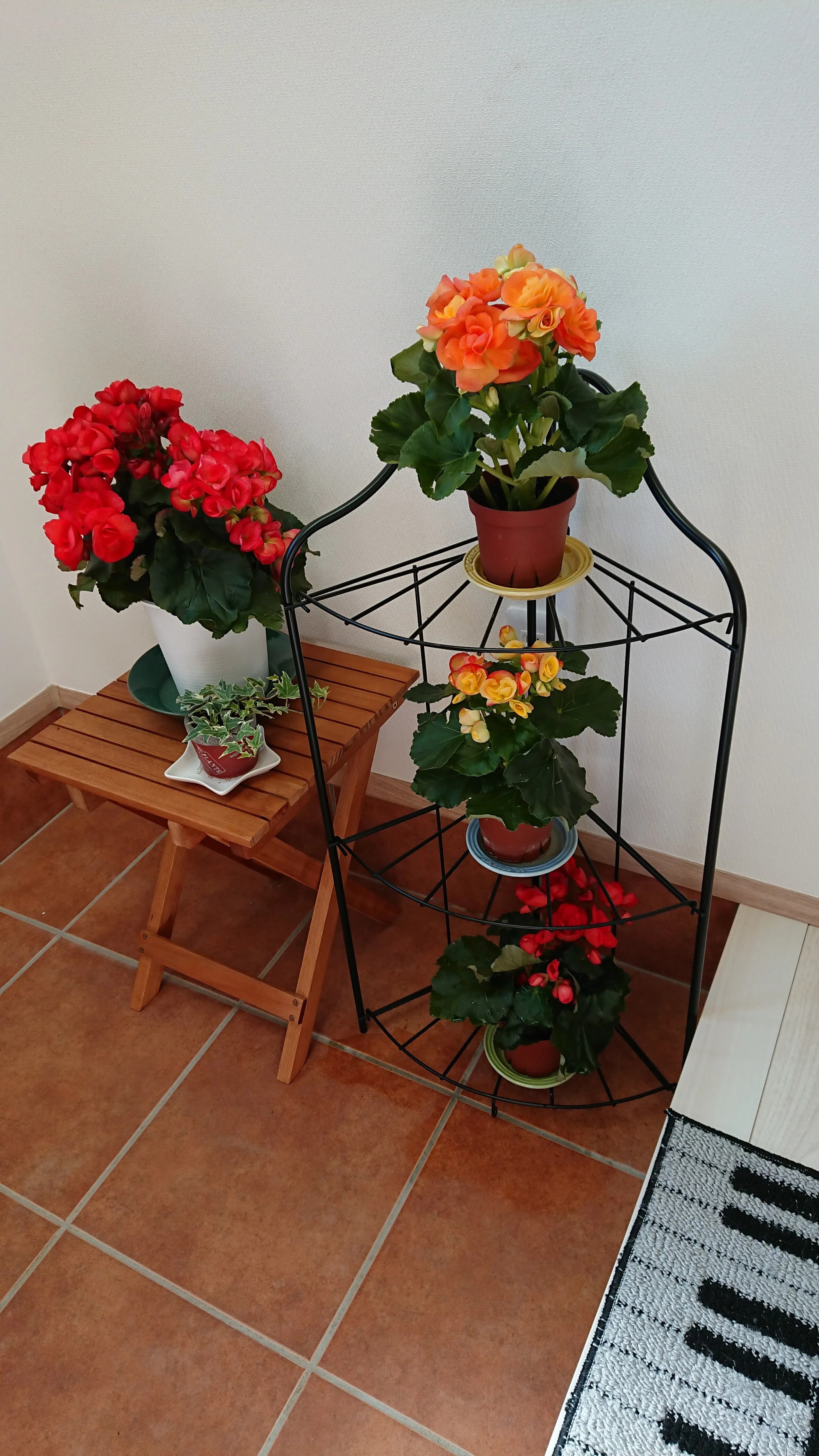 ハッピーチルドレンピアノエレクトーン教室 本校のサムネイル画像 5