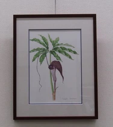 カルチャーセンター ピアノ 取手カルチャーセンター 画像 28