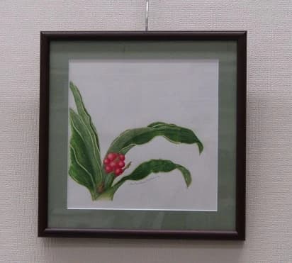 カルチャーセンター ピアノ 取手カルチャーセンター 画像 56