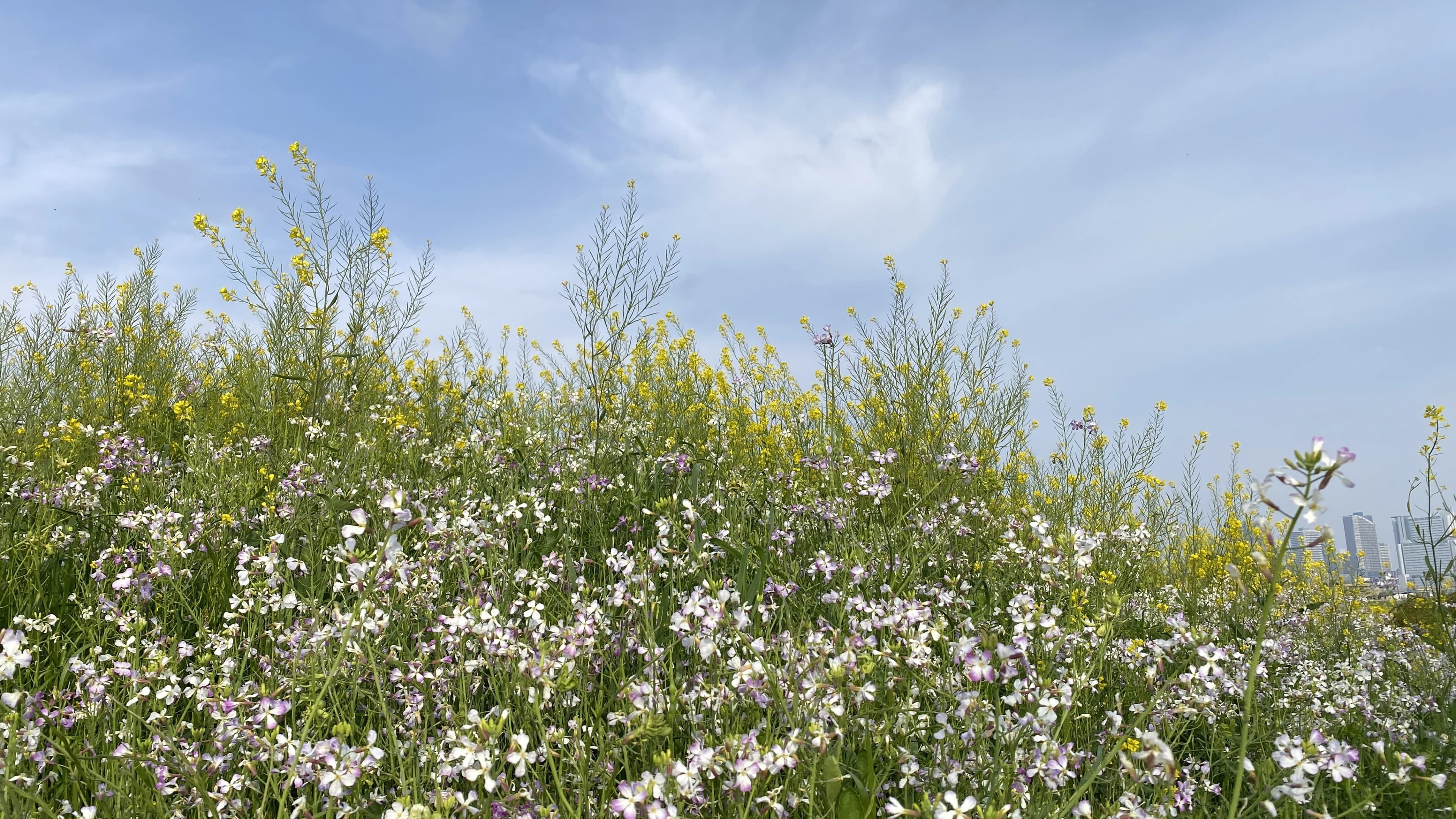 Voice&Piano Lesson みずき野教室 画像 18