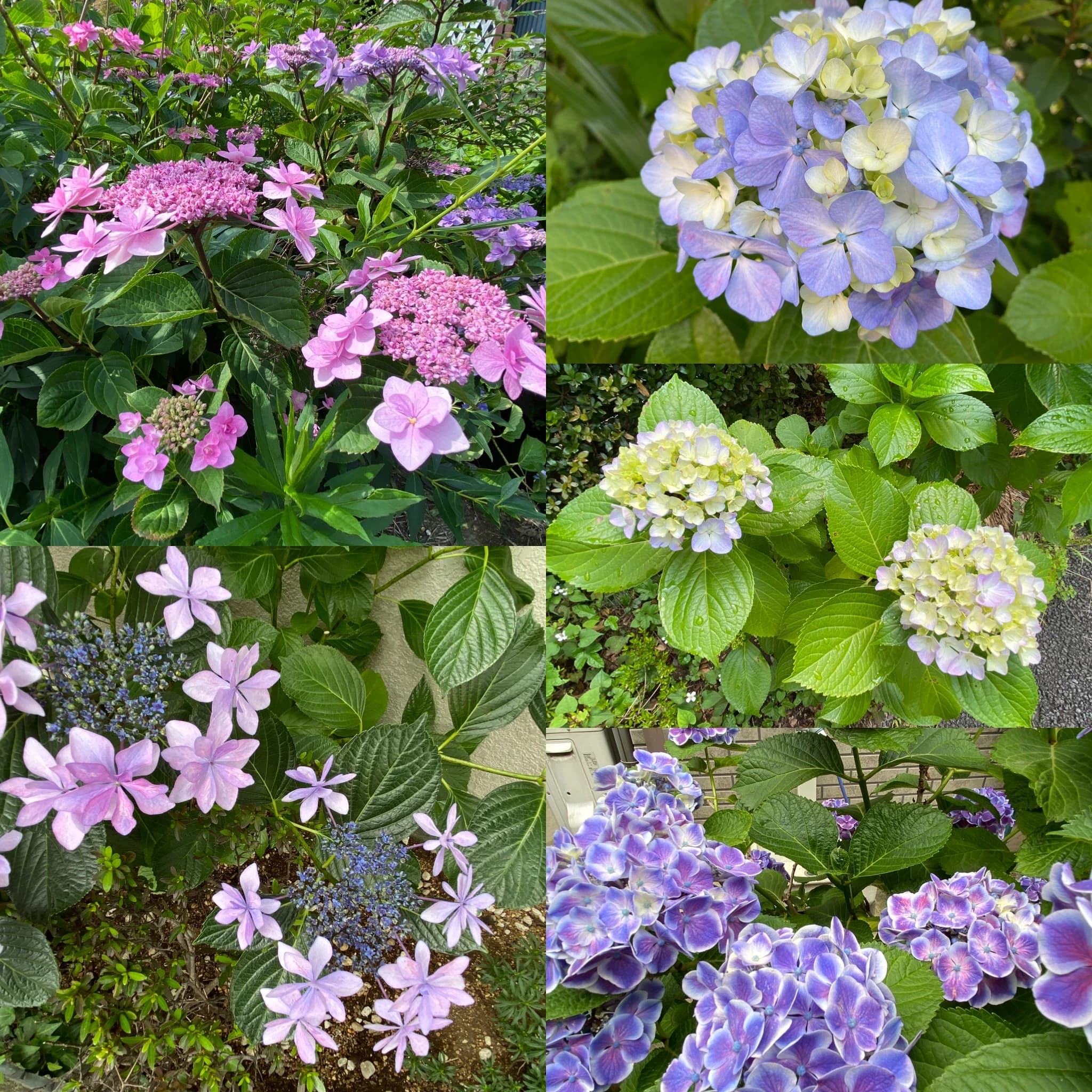 Voice&Piano Lesson みずき野教室 画像 20